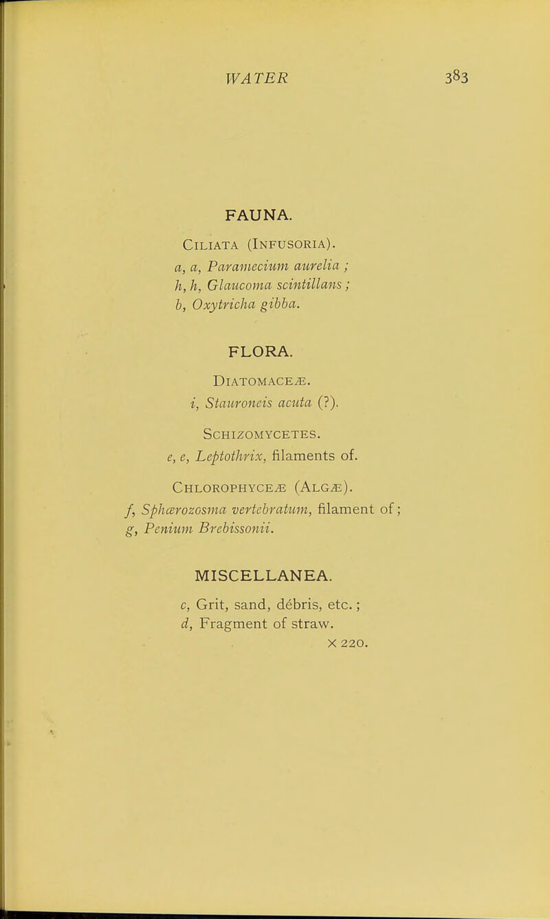 FAUNA. Ciliata (Infusoria). a, a, Paramecium aurelia ; h, h, Glaucoma scintillans; b, Oxytricha gibba. FLORA. DlATOMACEiE. i, Stanroncis acuta (?). SCHIZOMYCETES. e, e, Leptothrix, filaments of. Chlorophyce^e (ALGiE). /, SphcerozGsma vertcbratum, filament of; g, Pcnium Brcbissonii. MISCELLANEA. c, Grit, sand, debris, etc.; d, Fragment of straw.