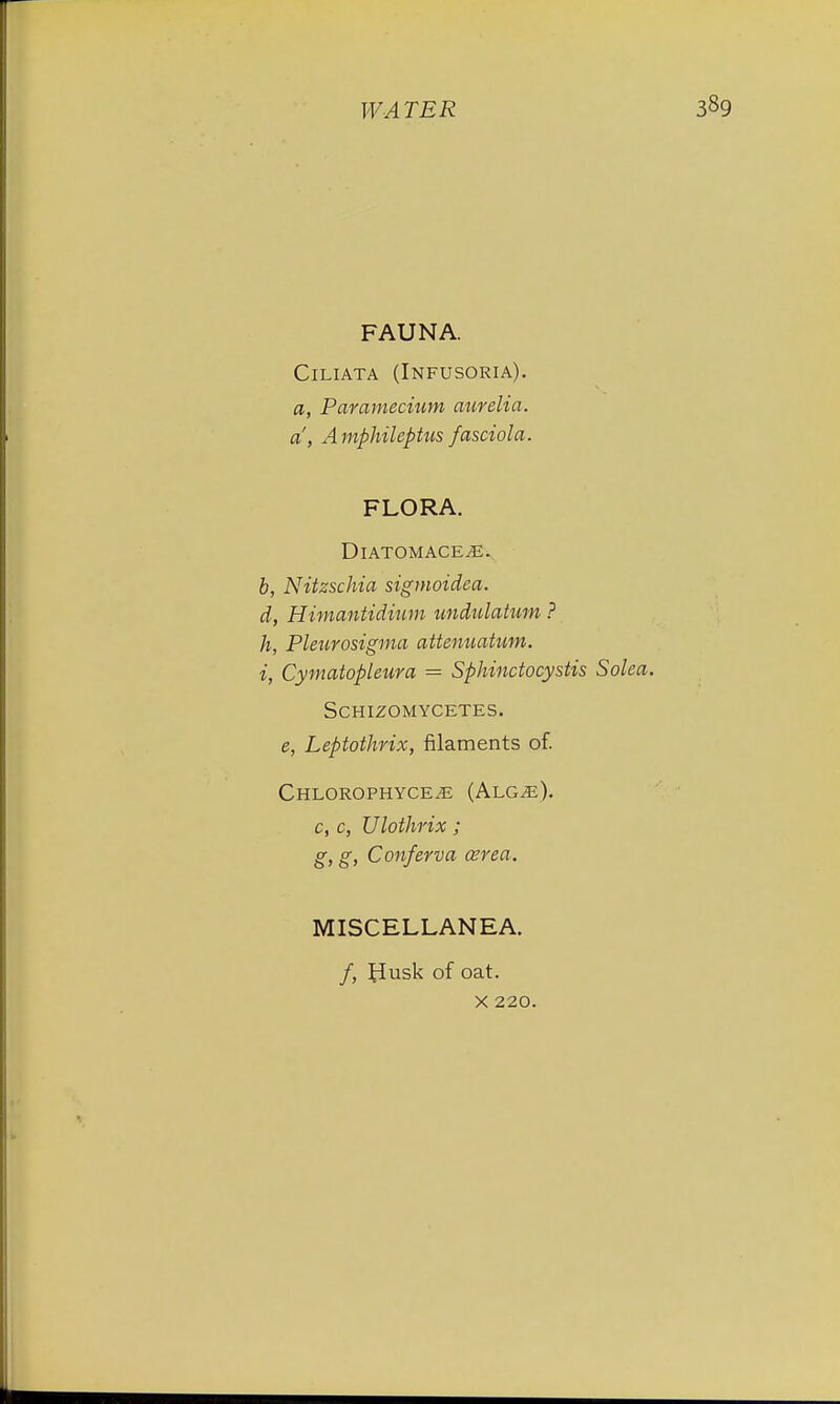 FAUNA. Ciliata (Infusoria). a, Paramecium aurelia. a, Amphileptus fasciola. FLORA. DlATOMACE/E. b, Nitzschia sigmoidea. d, Himantidmm undulatum ? h, Pleurosigma attenuatum. i, Cymatopleura = Sphinctocystis Solea. SCHIZOMYCETES. e, Leptothrix, filaments of. Chlorophyce^e (Alg.e). c, c, Ulothrix ; g, g, Conferva cerea. MISCELLANEA. /, £tusk of oat.