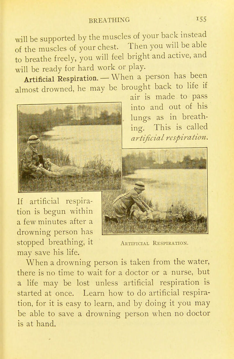 BREATHING ' ^55 will be supported by the muscles of your back instead of the muscles of your chest. Then you will be able to breathe freely, you will feel bright and active, and will be ready for hard work or play. Artificial Respiration. — When a person has been almost drowned, he may be brought back to life if air is made to pass into and out of his lungs as in breath- ing. This is called artificial respiration. Artificial Respiration. If artificial respira- tion is begun within a few minutes after a drowning person has stopped breathing, it may save his life. When a drowning person is taken from the water, there is no time to wait for a doctor or a nurse, but a life may be lost unless artificial respiration is started at once. Learn how to do artificial respira- tion, for it is easy to learn, and by doing it you may be able to save a drowning person when no doctor is at hand.