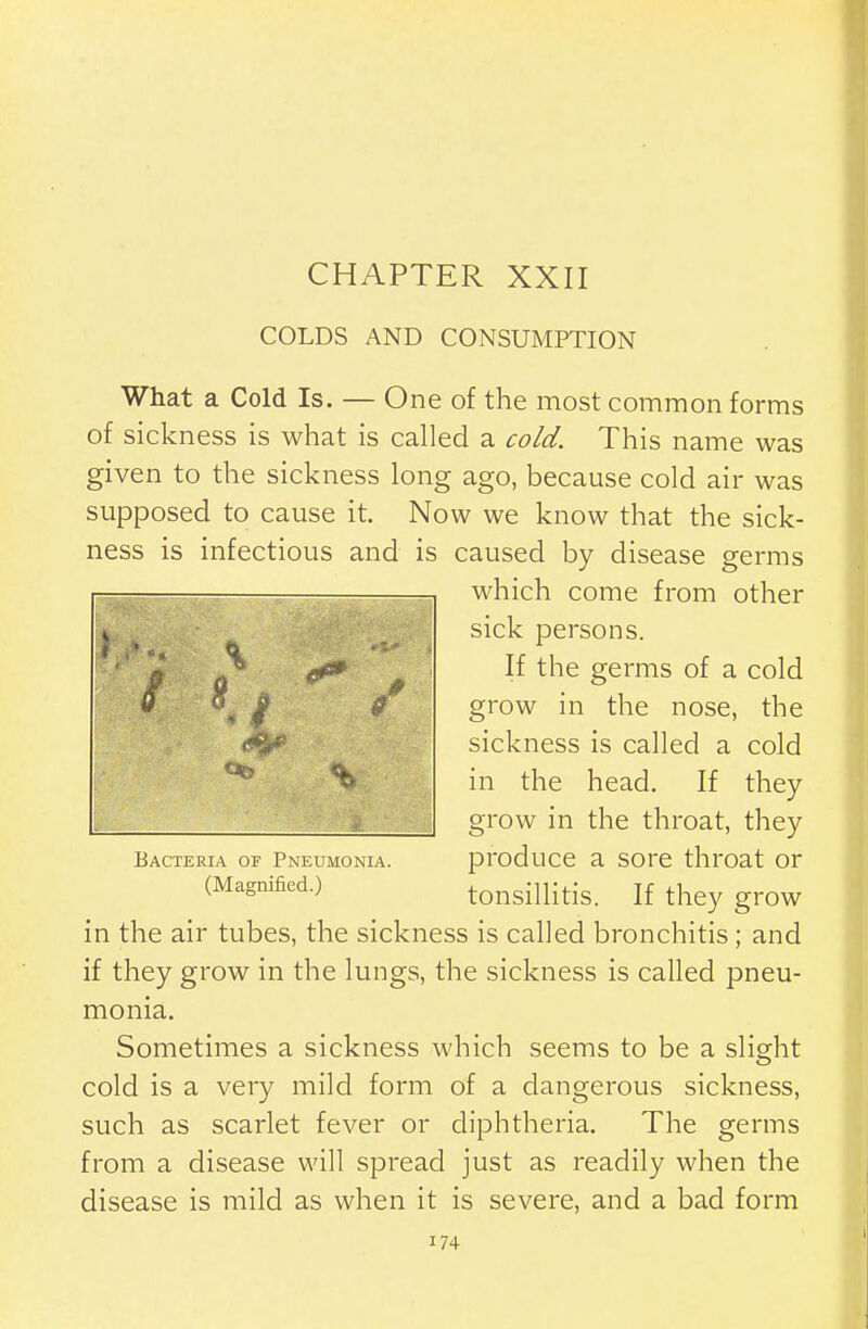 CHAPTER XXII COLDS AND CONSUMPTION What a Cold Is. — One of the most common forms of sickness is what is called a cold. This name was given to the sickness long ago, because cold air was supposed to cause it. Now we know that the sick- ness is infectious and is caused by disease germs which come from other sick persons. If the germs of a cold grow in the nose, the sickness is called a cold in the head. If they grow in the throat, they Bacteria of Pneumonia. produce a SOre throat Or (Magnified.) tonsillitis. If they grow in the air tubes, the sickness is called bronchitis ; and if they grow in the lungs, the sickness is called pneu- monia. Sometimes a sickness which seems to be a slight cold is a very mild form of a dangerous sickness, such as scarlet fever or diphtheria. The germs from a disease will spread just as readily when the disease is mild as when it is severe, and a bad form