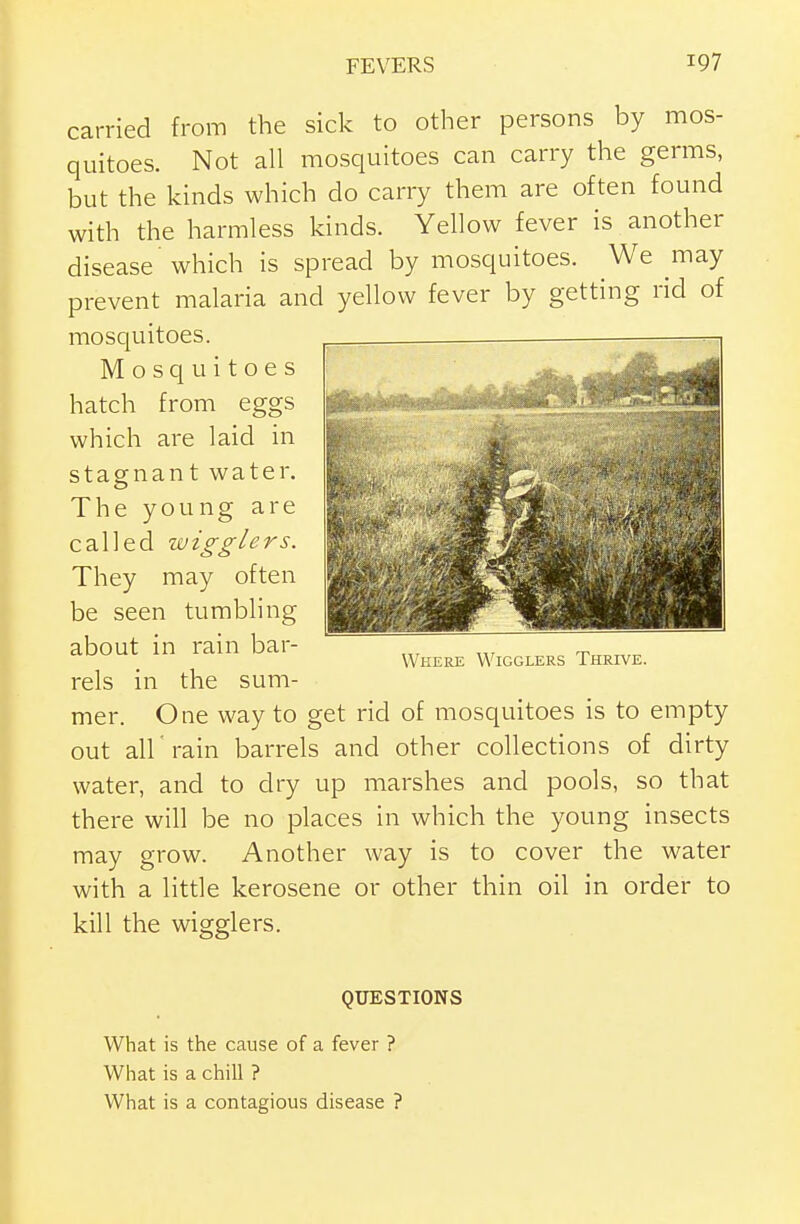 carried from the sick to other persons by mos- quitoes. Not all mosquitoes can carry the germs, but the kinds which do carry them are often found with the harmless kinds. Yellow fever is another disease which is spread by mosquitoes. We may prevent malaria and yellow fever by getting rid of mosquitoes. Mosquitoes hatch from eggs which are laid in stagnant water. The young are called wigglers. They may often be seen tumbling about in rain bar- rels in the sum- mer. One way to get rid of mosquitoes is to empty out all rain barrels and other collections of dirty water, and to dry up marshes and pools, so that there will be no places in which the young insects may grow. Another way is to cover the water with a little kerosene or other thin oil in order to kill the wiggle rs. Where Wigglers Thrive. QUESTIONS What is the cause of a fever ? What is a chill ? What is a contagious disease ?