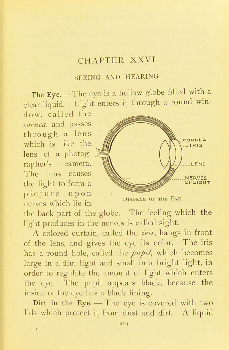 CHAPTER XXVI SEEING AND HEARING Diagram of the Eye. The Eye. — The eye is a hollow globe filled with a clear liquid. Light enters it through a round win- dow, called the cornea, and passes through a lens which is like the lens of a photog- rapher's camera. The lens causes the light to form a picture upon nerves which lie in the back part of the globe. The feeling which the light produces in the nerves is called sight. A colored curtain, called the iris, hangs in front of the lens, and gives the eye its color. The iris has a round hole, called the pupil, which becomes large in a dim light and small in a bright light, in order to regulate the amount of light which enters the eye. The pupil appears black, because the inside of the eye has a black lining. Dirt in the Eye. —- The eye is covered with two lids which protect it from dust and dirt. A liquid