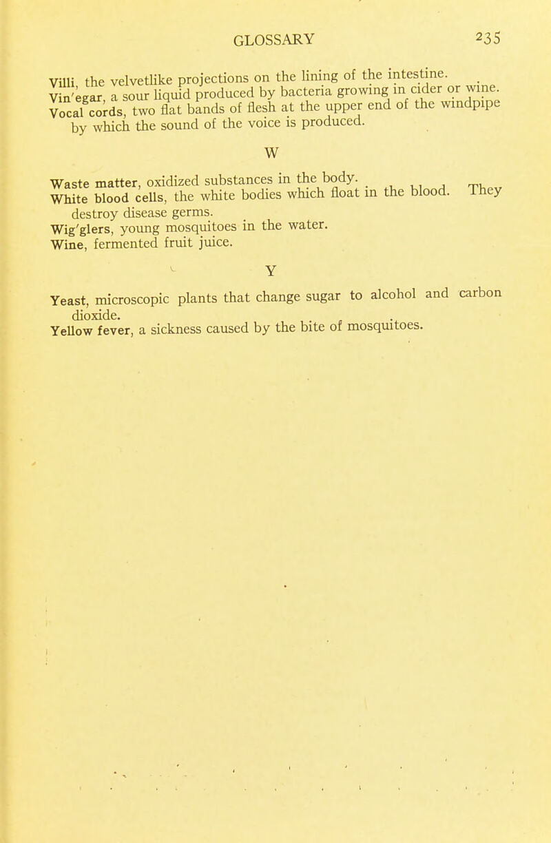 Villi the velvetUke projections on the lining of the intestine. Vin';ear a sour Uquid produced by bacteria growing in cider or wme. Vocal c^rds two flat bands of flesh at the upper end of the windpipe by which the sound of the voice is produced. W Waste matter, oxidized substances in Uie body. White blood ceUs, the white bodies which float in the blood. They destroy disease germs. Wig'glers, young mosquitoes in the water. Wine, fermented fruit juice. Yeast, microscopic plants that change sugar to alcohol and carbon dioxide. YeUow fever, a sickness caused by the bite of mosquitoes.