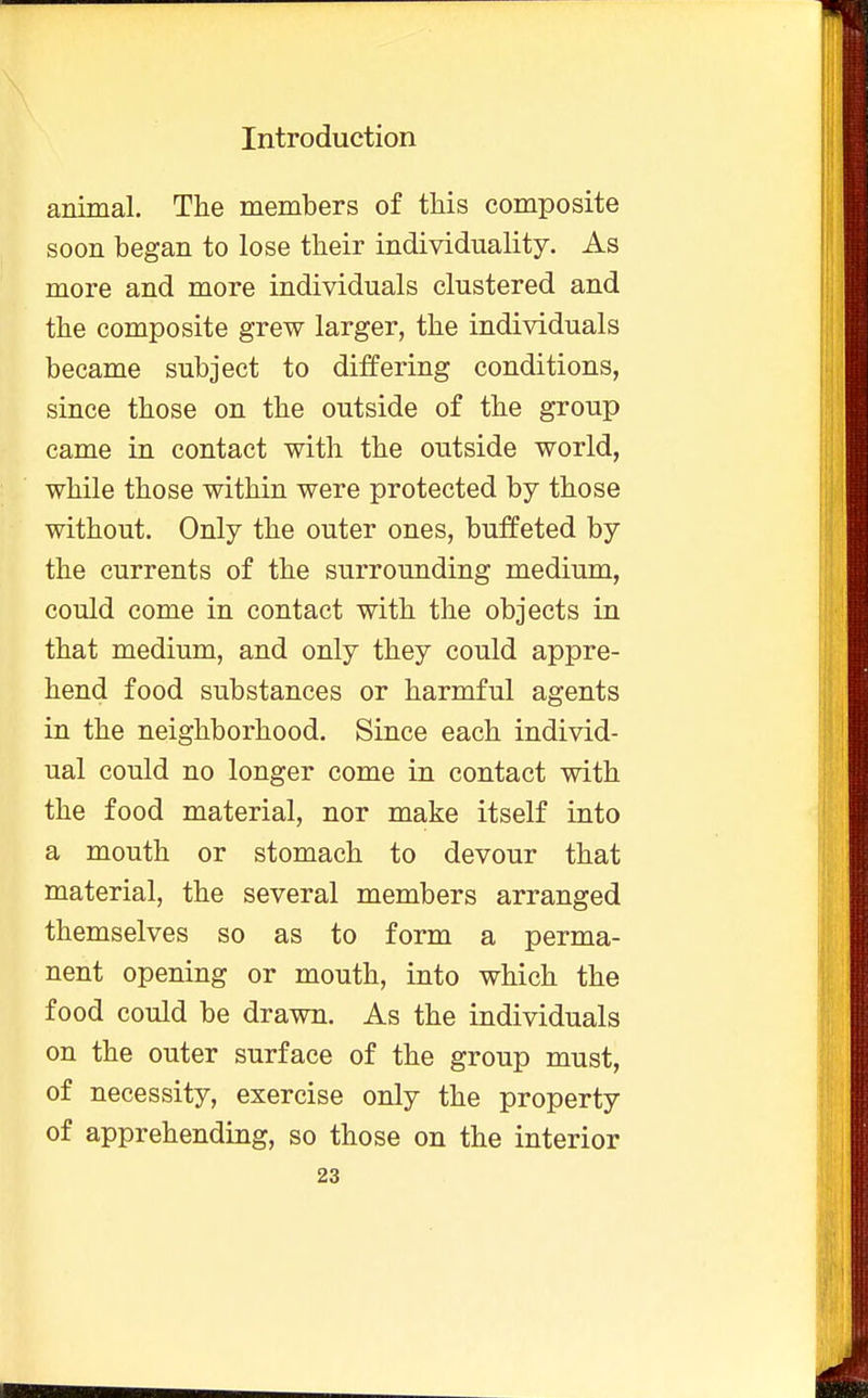 animal. The members of this composite soon began to lose their individuality. As more and more individuals clustered and the composite grew larger, the individuals became subject to differing conditions, since those on the outside of the group came in contact with the outside world, while those within were protected by those without. Only the outer ones, buffeted by the currents of the surrounding medium, could come in contact with the objects in that medium, and only they could appre- hend food substances or harmful agents in the neighborhood. Since each individ- ual could no longer come in contact with the food material, nor make itself into a mouth or stomach to devour that material, the several members arranged themselves so as to form a perma- nent opening or mouth, into which the food could be drawn. As the individuals on the outer surface of the group must, of necessity, exercise only the property of apprehending, so those on the interior
