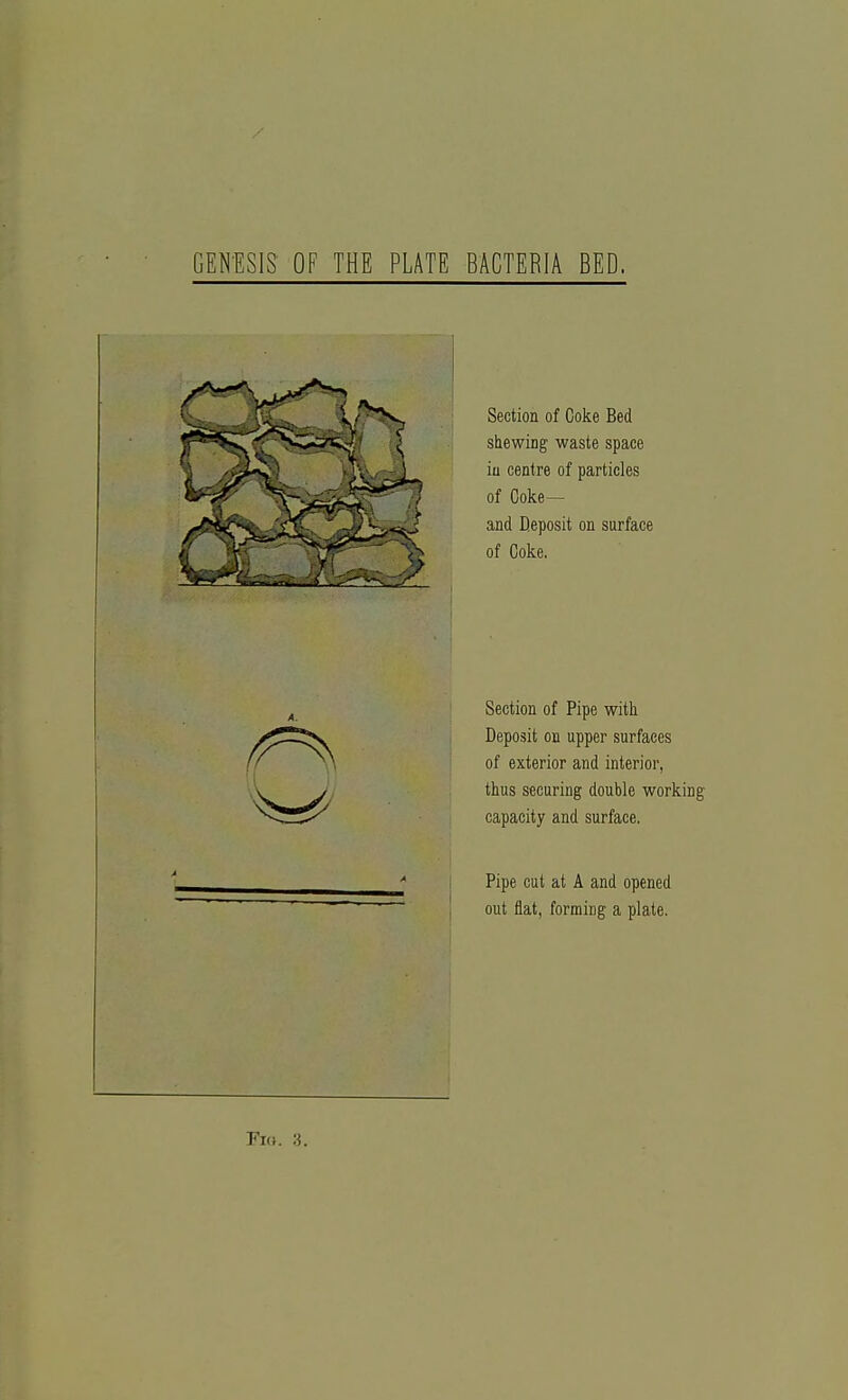 GEN'ESIS- OF THE PLATE BACTERIA BED. Section of Coke Bed shewing waste space iu centre of particles of Coke— and Deposit on surface of Coke, Section of Pipe with Deposit on upper surfaces of exterior and interior, thus securing double working capacity and surface. Pipe cut at A and opened out flat, forming a plate.