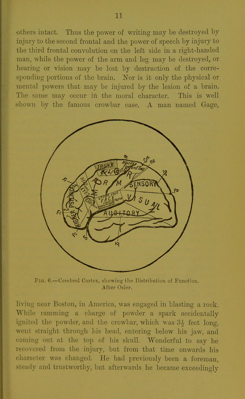 others intact. Thus the power of writing may be destroyed by injury to the second frontal and the power of speech by injury to the third frontal convolution on the left side in a right-handed man, while the power of the arm and leg may be destroyed, or hearing or vision may be lost by destruction of the corre- sponding portions of the brain. Nor is it only the physical or mental powers that may be injured by the lesion of a brain. The same may occur iA the moral character. This is well shown by the famous crowbar case. A man named Gage, Fig. 6.—Cerebral Cortex, showing the Distribution of FunctTon. After Osier. living near Boston, in America, was engaged in blasting a rock. AVhile ramming a charge of powder a spark accidentally ignited the powder, and the crowbar, which was 3i feet long, went straight through his head, entering below his jaw, and coming out at the top of his skull. Wonderful to say he recovered from the injury, but from that time onwards his character was changed. lie had previously been a foreman, steady and trustworthy, but afterwards he became exceedingly