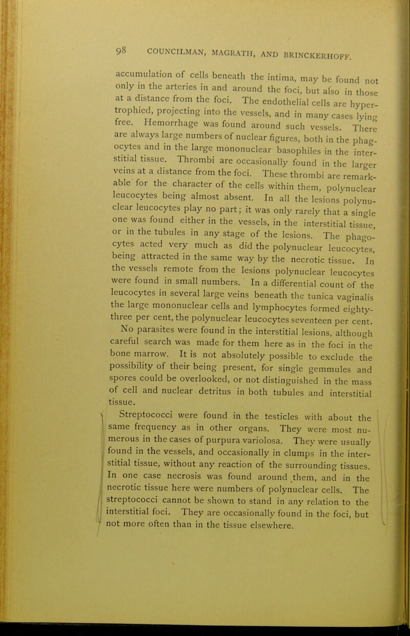 accumulation of cells beneath the intima, may be found not only m the arteries in and around the foci, but also in those at a distance from the foci. The endothelial cells are hyper- trophied, projecting into the vessels, and in many cases lyin- free. Hemorrhage was found around such vessels. There are always large numbers of nuclear figures, both in the phag- ocytes and in the large mononuclear basophiles in the inter- stitial tissue. Thrombi are occasionally found in the larger veins at a distance from the foci. These thrombi are remark- able for the character of the cells within them, polynuclear leucocytes being almost absent. In all the lesions polynu- clear leucocytes play no part; it was only rarely that a single one was found either in the vessels, in the interstitial tissue or in the tubules in any stage of the lesions. The phago- cytes acted very much as did the polynuclear leucocytes, being attracted in the same way by the necrotic tissue. In the vessels remote from the lesions polynuclear leucocytes were found in small numbers. In a differential count of the leucocytes in several large veins beneath the tunica vaginalis the large mononuclear cells and lymphocytes formed eighty- three per cent, the polynuclear leucocytes seventeen per cent. No parasites were found in the interstitial lesions, although careful search was made for them here as in the foci in the bone marrow. It is not absolutely possible to exclude the possibility of their being present, for single gemmules and spores could be overlooked, or not distinguished in the mass of cell and nuclear detritus in both tubules and interstitial tissue. Streptococci were found in the testicles with about the same frequency as in other organs. They were most nu- merous in the cases of purpura variolosa. They were usually fo und in the vessels, and occasionally in clumps in the inter- stitial tissue, without any reaction of the surrounding tissues. In one case necrosis was found around them, and in the necrotic tissue here were numbers of polynuclear cells. The streptococci cannot be shown to stand in any relation to the interstitial foci. They are occasionally found in the foci, but not more often than in the tissue elsewhere.
