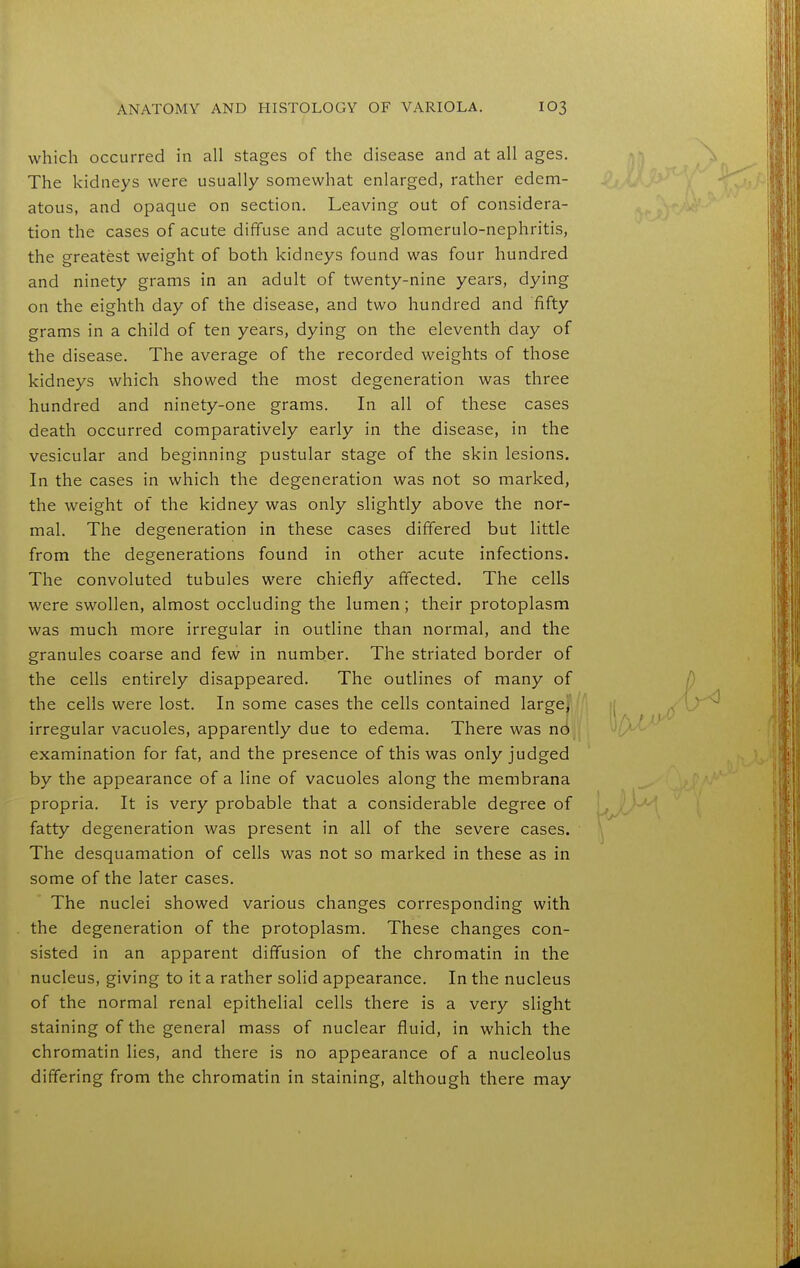 which occurred in all stages of the disease and at all ages. The kidneys were usually somewhat enlarged, rather edem- atous, and opaque on section. Leaving out of considera- tion the cases of acute diffuse and acute glomerulo-nephritis, the greatest weight of both kidneys found was four hundred and ninety grams in an adult of twenty-nine years, dying on the eighth day of the disease, and two hundred and fifty grams in a child of ten years, dying on the eleventh day of the disease. The average of the recorded weights of those kidneys which showed the most degeneration was three hundred and ninety-one grams. In all of these cases death occurred comparatively early in the disease, in the vesicular and beginning pustular stage of the skin lesions. In the cases in which the degeneration was not so marked, the weight of the kidney was only slightly above the nor- mal. The degeneration in these cases differed but little from the degenerations found in other acute infections. The convoluted tubules were chiefly affected. The cells were swollen, almost occluding the lumen ; their protoplasm was much more irregular in outline than normal, and the granules coarse and few in number. The striated border of the cells entirely disappeared. The outlines of many of the cells were lost. In some cases the cells contained large)' irregular vacuoles, apparently due to edema. There was no examination for fat, and the presence of this was only judged by the appearance of a line of vacuoles along the membrana propria. It is very probable that a considerable degree of fatty degeneration was present in all of the severe cases. The desquamation of cells was not so marked in these as in some of the later cases. The nuclei showed various changes corresponding with the degeneration of the protoplasm. These changes con- sisted in an apparent diffusion of the chromatin in the nucleus, giving to it a rather solid appearance. In the nucleus of the normal renal epithelial cells there is a very slight staining of the general mass of nuclear fluid, in which the chromatin lies, and there is no appearance of a nucleolus differing from the chromatin in staining, although there may