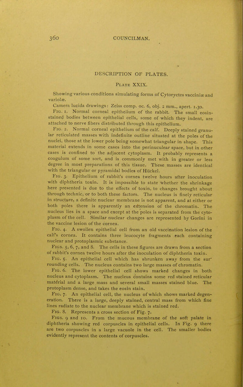 DESCRIPTION OF PLATES. Plate XXIX. Showing various conditions simulating forms of Cytoryctes vacciniseand variolse. Camera lucida drawings: Zeiss comp. oc. 6, obj. 2 mm., apert. 1.30, Fig. I. Normal corneal epithelium of the rabbit. The small eosin- stained bodies between epithelial cells, some of which they indent, are attached to nerve fibers distributed through this epithelium. Fig. 2. Normal corneal epithelium of the calf. Deeply stained granu- lar reticulated masses w^ith indefinite outline situated at the poles of the nuclei, those at the lower pole being somewhat triangular in shape. This material extends in some cases into the perinuculear space, but in other cases is confined to the adjacent cytoplasm. It probably represents a coagulum of some sort, and is commonly met with in greater or less degree in most preparations of this tissue. These masses are identical with the triangular or pyramidal bodies of Huckel. Fig. 3. Epithelium of rabbit's cornea twelve hours after inoculation with diphtheria toxin. It is impossible to state whether the shrinkage here presented is due to the effects of toxin, to changes brought about through technic, or to both these factors. The nucleus is finely reticular in structure, a definite nuclear membrane is not apparent, and at either or both poles there is apparently an e^itension of the chromatin. The nucleus lies in a space and except at the poles is separated from the cyto- plasm of the cell. Similar nuclear changes are represented by Gorini in the vaccine lesion of the cornea. Fig. 4. A swollen epithelial cell from an old vaccination lesion of the calfs cornea. It contains three leucocyte fragments each containing nuclear and protoplasmic substance. Figs. 5, 6, 7, and 8. The cells in these figures are drawn from a section of rabbit's cornea twelve hours after the inoculation of diphtheria toxin. Fig. 5. An epithelial cell which has shrunken away from the sur rounding cells. The nucleus contains two large masses of chromatin. Fig. 6. The lower epithelial cell shows marked changes in both nucleus and cytoplasm. The nucleus contains some red stained reticular material and a large mass and several small masses stained blue. The protoplasm dense, and takes the eosin stain. Fig. 7. An epithelial cell, the nucleus of which shows marked degen- eration. There is a large, deeply stained, central mass from which fine lines radiate to the nuclear membrane which is stained red. Fig. 8. Represents a cross section of Fig. 7. Figs. 9 and 10. From the mucous membrane of the soft palate in diphtheria showing red corpuscles in epithelial cells. In Fig. 9 there are two corpuscles in a large vacuole in the cell. The smaller bodies evidently represent the contents of corpuscles.