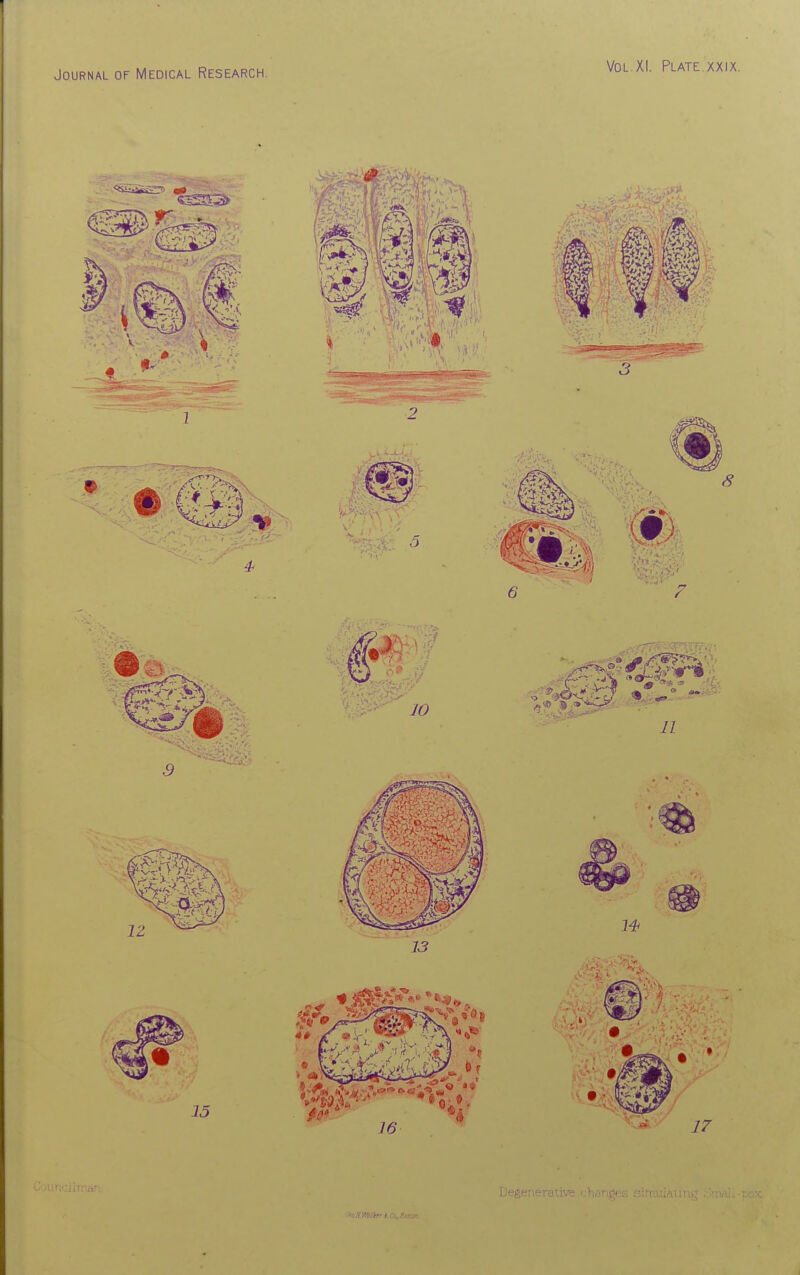 Vol XI. Plate xxix. '><iJl.matri.Cc,/i'-: