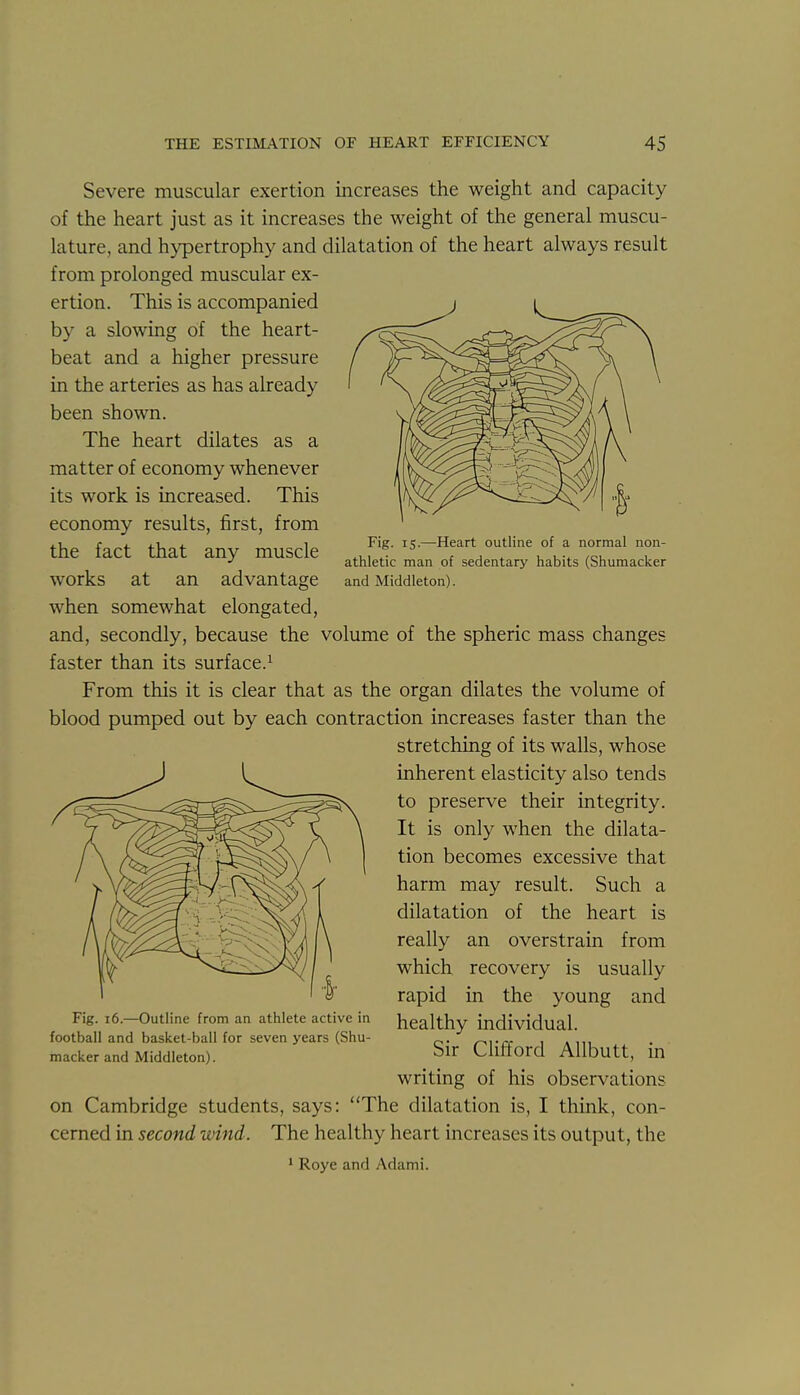 Fig. 15.—Heart outline of a normal non- athletic man of sedentary habits (Shumacker and Middleton). Severe muscular exertion increases the weight and capacity of the heart just as it increases the weight of the general muscu- lature, and hypertrophy and dilatation of the heart always result from prolonged muscular ex- ertion. This is accompanied by a slowing of the heart- beat and a higher pressure in the arteries as has already been shown. The heart dilates as a matter of economy whenever its work is increased. This economy results, first, from the fact that any muscle works at an advantage when somewhat elongated, and, secondly, because the volume of the spheric mass changes faster than its surface.^ From this it is clear that as the organ dilates the volume of blood pumped out by each contraction increases faster than the stretching of its walls, whose inherent elasticity also tends to preserve their integrity. It is only when the dilata- tion becomes excessive that harm may result. Such a dilatation of the heart is really an overstrain from which recovery is usually rapid in the young and healthy individual. Sir Clifford Allbutt, in writing of his observations on Cambridge students, says: The dilatation is, I think, con- cerned in second wind. The healthy heart increases its output, the * Roye and Adami. Fig. 16.—Outline from an athlete active in football and basket-ball for seven years (Shu- macker and Middleton).
