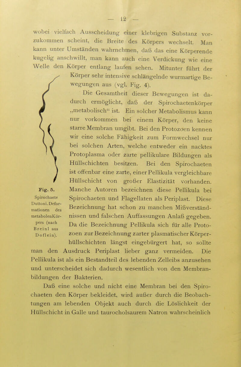 wobei vielfach Ausscheidung einer klebrigen Substanz vor- zukommen scheint, die Breite des Körpers wechselt. Man kann unter Umständen wahrnehmen, daß das eine Körperende kugelig anschwillt, man kann auch eine Verdickung wie eine Welle den Körper entlang laufen sehen. Mitunter führt der Körper sehr intensive schlängelnde wurmartige Be- wegungen aus (vgl. Fig. 4). Die Gesamtheit dieser Bewegungen ist da- durch ermöglicht, daß der Spirochaetenkörper „metabolisch ist. Ein solcher Metabolismus kann nur vorkommen bei einem Körper, den keine starre Membran umgibt. Bei den Protozoen kennen wir eine solche Fähigkeit zum Formwechsel nur bei solchen Arten, welche entweder ein nacktes Protoplasma oder zarte pellikulare Bildungen als Hüllschichten besitzen. Bei den Spirochaeten ist offenbar eine zarte, einer Pellikula vergleichbare Hüllschicht von großer Elastizität vorhanden. Manche Autoren bezeichnen diese Pellikula bei Spirochaeten und Flagellaten als Periplast. Diese Bezeichnung hat schon zu manchen Mißverständ- nissen und falschen Auffassungen Anlaß gegeben. Da die Bezeichnung Pellikula sich für alle Proto- zoen zur Bezeichnung zarter plasmatischer Körper- hüllschichten längst eingebürgert hat, so sollte man den Ausdruck Periplast lieber ganz vermeiden. Die Pellikula ist als ein Bestandteil des lebenden Zelleibs anzusehen und unterscheidet sich dadurch wesentlich von den Membran- bildungen der Bakterien. Daß eine solche und nicht eine Membran bei den Spiro- chaeten den Körper bekleidet, wird außer durch die Beobach- tungen am lebenden Objekt auch durch die Löslichkeit der Hüllschicht in Galle und taurocholsaurem Natron wahrscheinlich Fig. 5. Spirochaete Duttoni. Defor- mationen des metabolenKör- pers (nach Breinl aus Doflein).