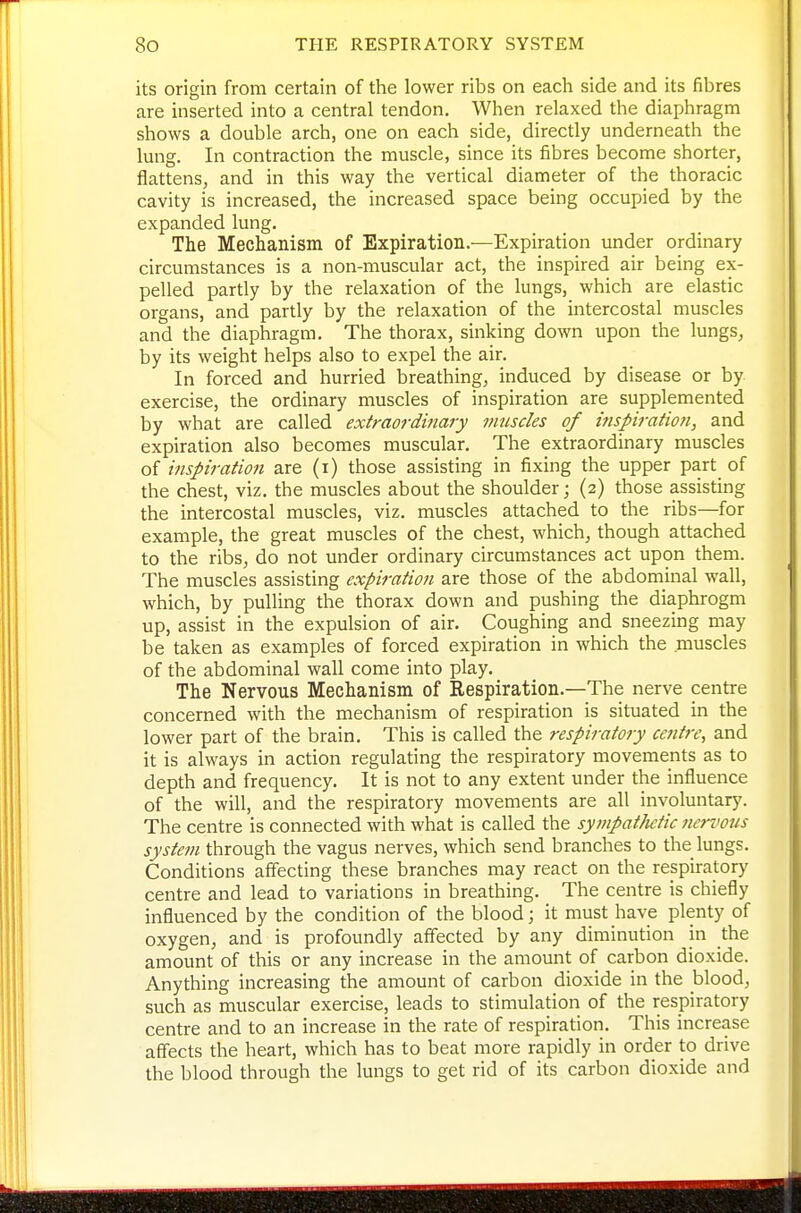 its origin from certain of the lower ribs on each side and its fibres are inserted into a central tendon. When relaxed the diaphragm shows a double arch, one on each side, directly underneath the lung. In contraction the muscle, since its fibres become shorter, flattens, and in this way the vertical diameter of the thoracic cavity is increased, the increased space being occupied by the expanded lung. The Mechanism of Expiration.—Expiration under ordinary circumstances is a non-muscular act, the inspired air being ex- pelled partly by the relaxation of the lungs, which are elastic organs, and partly by the relaxation of the intercostal muscles and the diaphragm. The thorax, sinking down upon the lungs, by its weight helps also to expel the air. In forced and hurried breathing, induced by disease or by exercise, the ordinary muscles of inspiration are supplemented by what are called extraordinary muscles of inspiratmi, and expiration also becomes muscular. The extraordinary muscles of inspiration are (i) those assisting in fixing the upper part of the chest, viz. the muscles about the shoulder; (2) those assisting the intercostal muscles, viz. muscles attached to the ribs—for example, the great muscles of the chest, which, though attached to the ribs, do not under ordinary circumstances act upon them. The muscles assisting expiration are those of the abdominal wall, which, by pulling the thorax down and pushing the diaphrogm up, assist in the expulsion of air. Coughing and sneezing may be taken as examples of forced expiration in which the muscles of the abdominal wall come into play. The Nervous Mechanism of Respiration.—The nerve centre concerned with the mechanism of respiration is situated in the lower part of the brain. This is called the respiratory centre, and it is always in action regulating the respiratory movements as to depth and frequency. It is not to any extent under the influence of the will, and the respiratory movements are all involuntary. The centre is connected with what is called the syinpatJictic nervous system through the vagus nerves, which send branches to the lungs. Conditions affecting these branches may react on the respiratory centre and lead to variations in breathing. The centre is chiefly influenced by the condition of the blood; it must have plenty of oxygen, and is profoundly affected by any diminution in the amount of this or any increase in the amount of carbon dioxide. Anything increasing the amount of carbon dioxide in the blood, such as muscular exercise, leads to stimulation of the respiratory centre and to an increase in the rate of respiration. This increase affects the heart, which has to beat more rapidly in order to drive the blood through the lungs to get rid of its carbon dioxide and