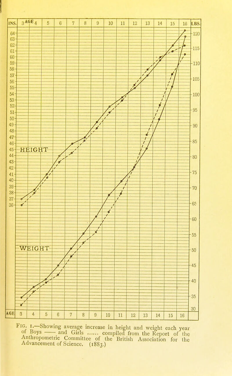 Fig. I.—Showing average increase in height and weight each year of Boys and Girls compiled from the Report of Ihe Arithropometric Committee of the British Association for the Advancement of Science. (1883.)