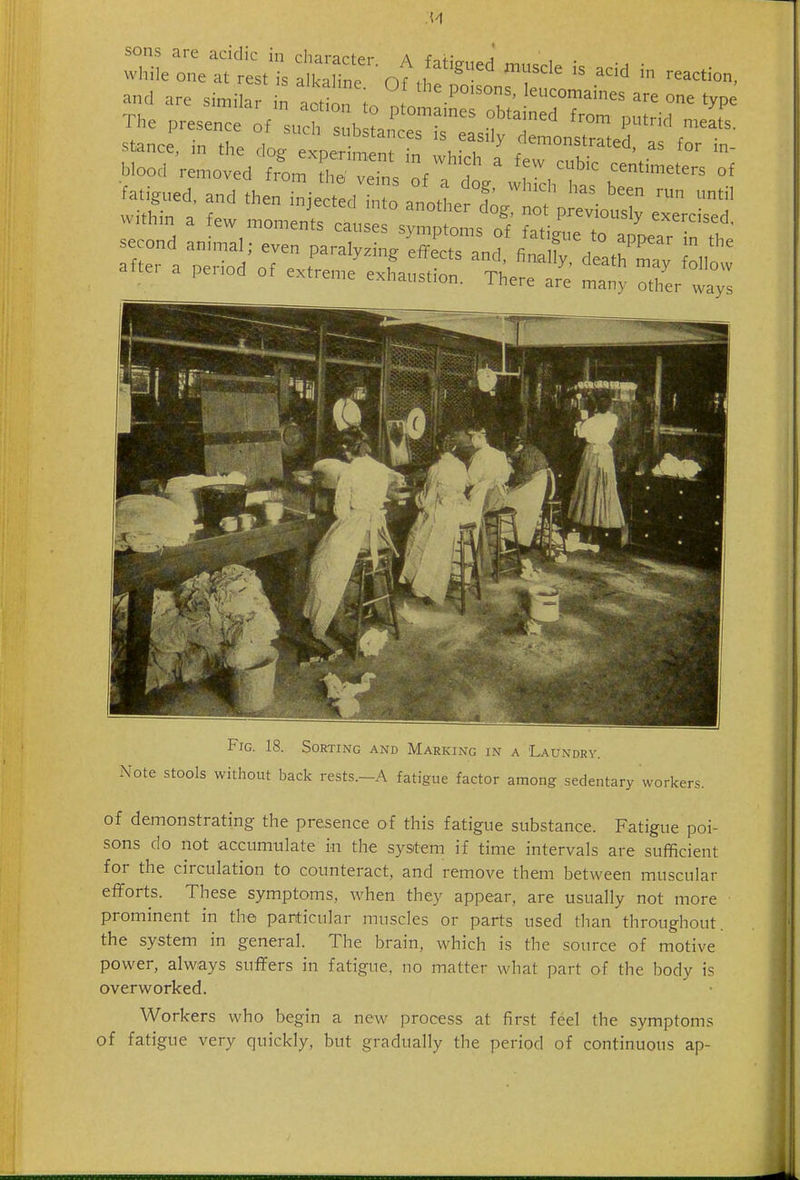 while one at rest is alkaTine nul ^^ ^'''O. and are sin,ila i^ aottrio , '^^^ are one type The presence o. ^^n^T:^!^ ^--^^ r' u:rr:L'^,^'?orr'' -/'f ^ °-:::;ti::e:::; fatigued, and1h i™«red ; o%°no.L l'''? ™ within a tew n,on,e„^ts cat'^s r ^J^':^' Ja^^r^^tpe^t^^- Fig. 18. Sorting and Marking in a 'Laundry. Note stools without back rests.-A fatigue factor among sedentary workers. of demonstrating the presence of this fatigue substance. Fatigue poi- sons do not accumulate in the system if time intervals are sufficient for the circulation to counteract, and remove them between muscular efforts. These symptoms, when they appear, are usually not more prominent in the particular muscles or parts used than throughout, the system in general. The brain, which is the source of motive power, always suffers in fatigue, no matter what part of the body is overworked. Workers who begin a new process at first feel the symptoms of fatigue very quickly, but gradually the period of continuous ap-