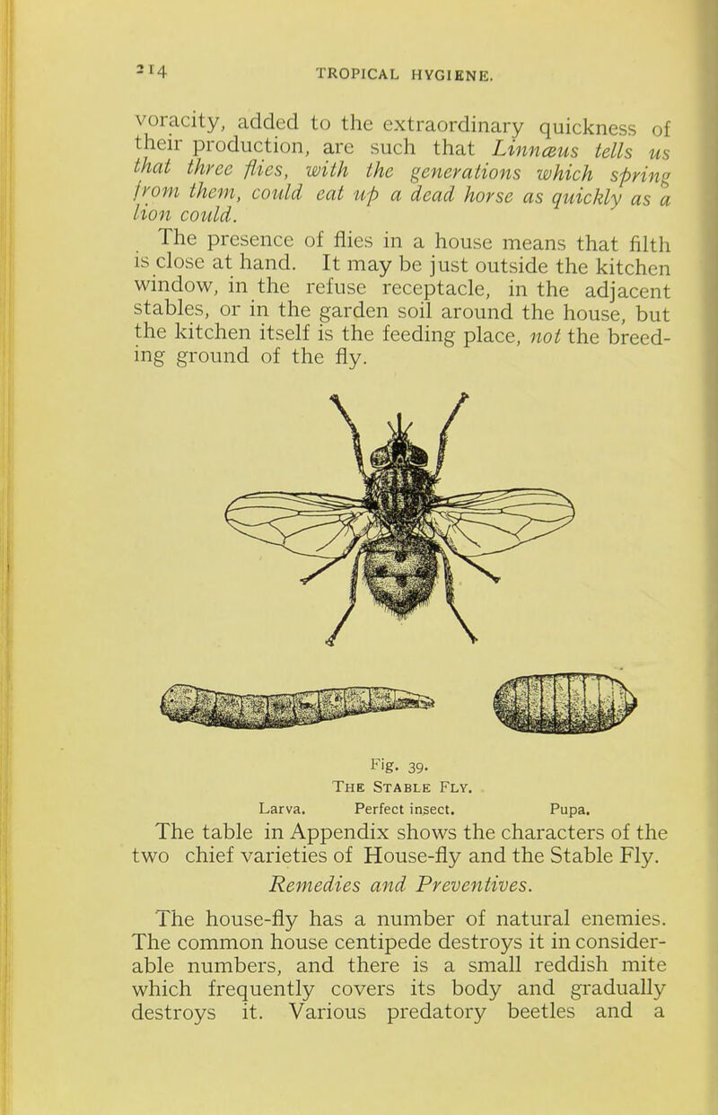 voracity, added to the extraordinary quickness of their production, are such that Linncsus tells us that three flies, with the generations which spring from them, could eat up a dead horse as quickly as a lion could. The presence of flies in a house means that filth IS close at hand. It may be just outside the kitchen window, in the refuse receptacle, in the adjacent stables, or in the garden soil around the house, but the kitchen itself is the feeding place, not the breed- ing ground of the fly. Fig. 39. The Stable Fly. Larva. Perfect insect. Pupa. The table in Appendix shows the characters of the two chief varieties of House-fly and the Stable Fly. Remedies and Preventives. The house-fly has a number of natural enemies. The common house centipede destroys it in consider- able numbers, and there is a small reddish mite which frequently covers its body and gradually destroys it. Various predatory beetles and a