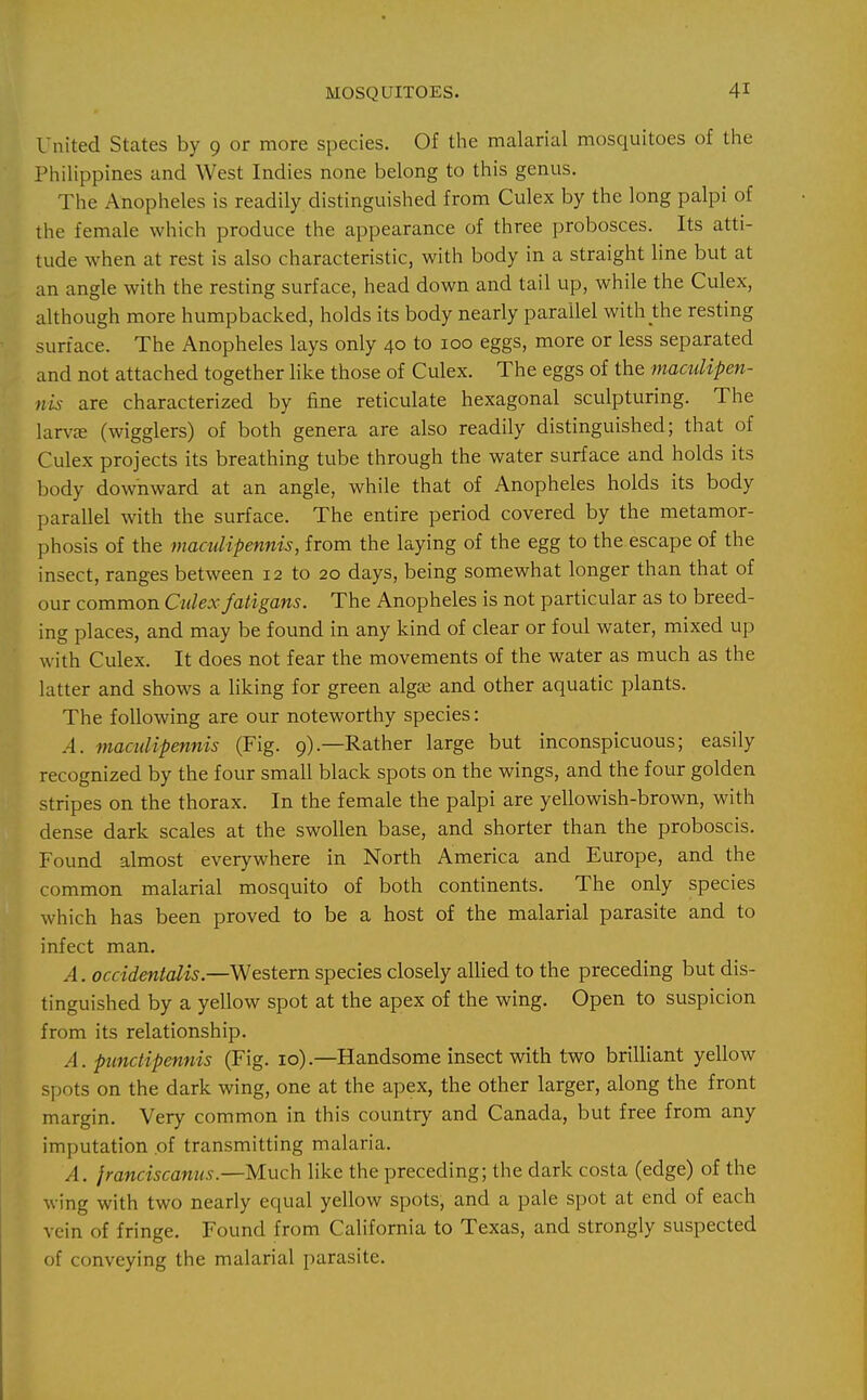 United States by 9 or more species. Of the malarial mosquitoes of the Philippines and West Indies none belong to this genus. The Anopheles is readily distinguished from Culex by the long palpi of the female which produce the appearance of three probosces. Its atti- tude when at rest is also characteristic, with body in a straight line but at an angle with the resting surface, head down and tail up, while the Culex, although more humpbacked, holds its body nearly parallel with the resting surface. The Anopheles lays only 40 to 100 eggs, more or less separated and not attached together like those of Culex. The eggs of the maculipen- nis are characterized by fine reticulate hexagonal sculpturing. The larv£e (wigglers) of both genera are also readily distinguished; that of Culex projects its breathing tube through the water surface and holds its body downward at an angle, while that of Anopheles holds its body parallel with the surface. The entire period covered by the metamor- phosis of the maculipennis, from the laying of the egg to the escape of the insect, ranges between 12 to 20 days, being somewhat longer than that of our common Culex fatigans. The Anopheles is not particular as to breed- ing places, and may be found in any kind of clear or foul water, mixed up with Culex. It does not fear the movements of the water as much as the latter and shows a liking for green alga; and other aquatic plants. The following are our noteworthy species: A. maculipennis (Fig. 9).—Rather large but inconspicuous; easily recognized by the four small black spots on the wings, and the four golden stripes on the thorax. In the female the palpi are yellowish-brown, with dense dark scales at the swollen base, and shorter than the proboscis. Found almost everywhere in North America and Europe, and the common malarial mosquito of both continents. The only species which has been proved to be a host of the malarial parasite and to infect man. A. occidenialis.—Western species closely allied to the preceding but dis- tinguished by a yellow spot at the apex of the wing. Open to suspicion from its relationship. A. punctipennis (Fig. 10).—Handsome insect with two brilliant yellow spots on the dark wing, one at the apex, the other larger, along the front margin. Very common in this country and Canada, but free from any imputation .of transmitting malaria. A. jranciscanus.—Much like the preceding; the dark costa (edge) of the wing with two nearly equal yellow spots, and a pale spot at end of each vein of fringe. Found from California to Texas, and strongly suspected of conveying the malarial parasite.