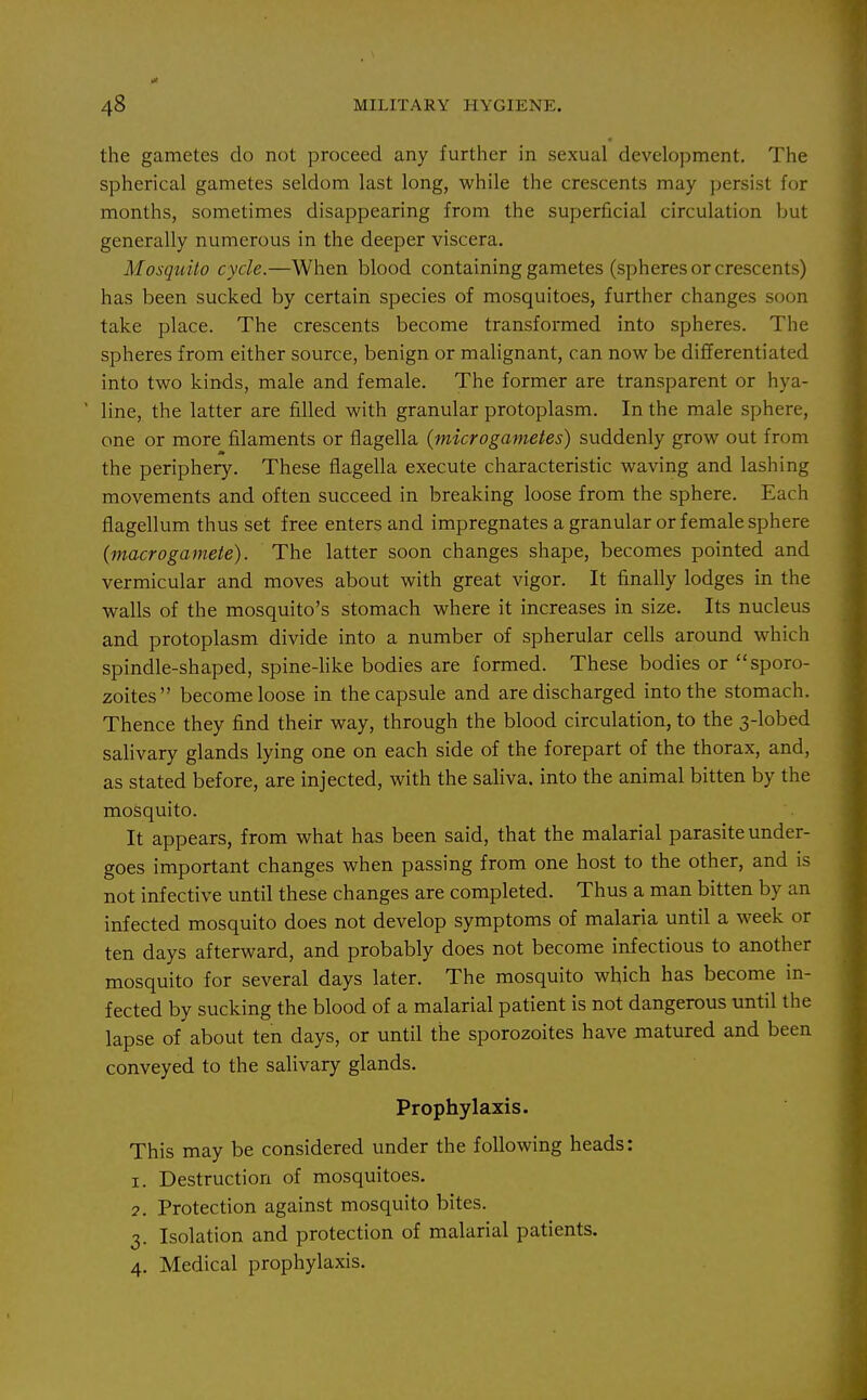 the gametes do not proceed any further in sexual development. The spherical gametes seldom last long, while the crescents may persist for months, sometimes disappearing from the superficial circulation but generally numerous in the deeper viscera. Mosquito cycle.—When blood containing gametes (spheres or crescents) has been sucked by certain species of mosquitoes, further changes soon take place. The crescents become transformed into spheres. The spheres from either source, benign or malignant, can now be differentiated into two kinds, male and female. The former are transparent or hya- ' line, the latter are filled with granular protoplasm. In the male sphere, one or more filaments or flagella {microgametes) suddenly grow out from the periphery. These flagella execute characteristic waving and lashing movements and often succeed in breaking loose from the sphere. Each flagellum thus set free enters and impregnates a granular or female sphere {macrogamete). The latter soon changes shape, becomes pointed and vermicular and moves about with great vigor. It finally lodges in the walls of the mosquito's stomach where it increases in size. Its nucleus and protoplasm divide into a number of spherular cells around which spindle-shaped, spine-like bodies are formed. These bodies or sporo- zoites become loose in the capsule and are discharged into the stomach. Thence they find their way, through the blood circulation, to the 3-lobed salivary glands lying one on each side of the forepart of the thorax, and, as stated before, are injected, with the saliva, into the animal bitten by the mosquito. It appears, from what has been said, that the malarial parasite under- goes important changes when passing from one host to the other, and is not infective until these changes are completed. Thus a man bitten by an infected mosquito does not develop symptoms of malaria until a week or ten days afterward, and probably does not become infectious to another mosquito for several days later. The mosquito which has become in- fected by sucking the blood of a malarial patient is not dangerous until the lapse of about ten days, or until the sporozoites have matured and been conveyed to the salivary glands. Prophylaxis. This may be considered under the following heads: I. Destruction of mosquitoes. ?. Protection against mosquito bites. 3. Isolation and protection of malarial patients. 4. Medical prophylaxis.