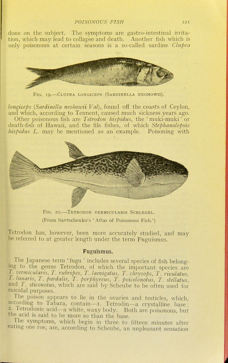 done on the subject. The symptoms are gastro-intestinal irrita- tion, which may lead to collapse and death. Another fish which is only poisonous at certain seasons is a so-called sardine Clupea Fig. 19.—Clupea longiceps (Sardinella neohowii). longiceps {Sardinella neohowii Val), found off the coasts of Ceylon, and which, according to Tennent, caused much sickness years ago. Other poisonous fish are Tetrodon hispidus, the ' muki-muki' or death-fish of Hawaii, and the file fishes, of which Stephanolepsis hispidus L. may be mentioned as an example. Poisoning with Fig. 20.—^Tetrodon vermicularis Schlegel. (From Savtschenko's 'Atlas of Poisonous Fish.') Tetrodon has, however, been more accurately studied, and may be referred to at greater length under the term Fuguismus. Fuguismus. The Japanese term ' fugu ' includes several species of fish belong- ing to the genus Tetrodon, of which the important species are r. vermicularis, T. mbripes, T. laevigatus, T. chrysops, T. rivulahis, T. lunaris, T. pardalis, T. porphyreus, T. poicelonotiis, T. sfellatus, and T. sticonotus, which are said by Scheube to be often used for suicidal purposes. Tlie poison appears to lie in the ovaries and testicles, which, according to Tabara, contain—i. Tetrodin—a crystalline base ; 2. fetrodonic acid—a white, waxy body. Both are poisonous, but the acid is said to be more so than the base. The symptoms, which begin in three to fifteen minutes after eating one roe, are, according to Scheube, an unpleasant sensation