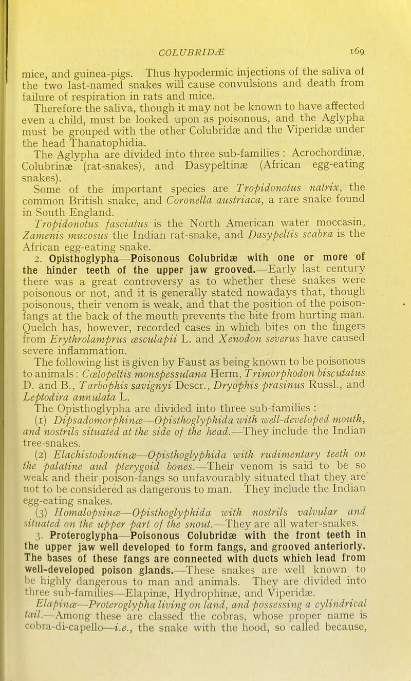 mice, and guinea-pigs. Tlius hypodermic injections of the saliva of the two last-named snakes will cause convulsions and death from failure of respiration in rats and mice. Therefore the sahva, though it may not be known to have affected even a child, must be looked upon as poisonous, and the Aglypha must be grouped with the other Colubridse and the Viperid^ under the head Thanatophidia. The Aglypha are divided into three sub-families : Acrochordinse, Colubrinae (rat-snakes), and Dasypeltinse (African egg-eating snakes). Some of the important species are Tropidonoius natrix, the common British snake, and Coronella auslriaca, a rare snake found in South England. Tropidonotus fasciatus is the North American water moccasin, Zamenis mucosus the Indian rat-snake, and Dasypeltis scabra is the African egg-eating snake. 2. Opisthoglypha—Poisonous Colubridae with one or more of the hinder teeth of the upper jaw grooved.—Early last century there was a great controversy as to whether these snakes were poisonous or not, and it is generally stated nowadays that, though poisonous, their venom is weak, and that the position of the poison- fangs at the back of the mouth prevents the bite from hurting man. Quelch has, however, recorded cases in which bijtes on the fingers from Erythrolamprus cesculapii L. and Xenodon severus have caused severe inflammation. The following list is given by Faust as being known to be poisonous to animals : Ccelopeltis monspessulana Herm, Trimorphodon biscutatus D. and B., Tarbophis savignyi Descr., Dryophis prasinus RussL, and Leptodira annulata L. The Opisthoglypha are divided into three sub-families : (1) DipsadomorphincB—Opisthoglyphida with well-developed mouth, and nostrils situated at the side of the head.—They include the Indian tree-snakes. (2) ElachistodontincB—Opisthoglyphida with rudimentary teeth on the palatine aud pterygoid bones.—^Their venom is said to be so weak and their poison-fangs so unfavourably situated that they are' not to be considered as dangerous to man. They include the Indian egg-eating snakes. (3) HomahpsincB—Opisthoglyphida with nostrils valvular and situated on the upper part of the snout.—They are all water-snakes. 3. Proteroglypha—Poisonous Colubridae with the front teeth in the upper jaw well developed to form fangs, and grooved anteriorly. The bases of these fangs are connected with ducts which lead from well-developed poison glands.—These snakes are well known to be highly dangerous to man and animals. They are divided into three sub-families—Elapinae, Hydrophinfe, and Viperidae. Elapince—Proteroglypha living on land, and possessing a cylindrical tail.—Among these are classed the cobras, whose proper name is cobra-di-capello—i.e., the snake with the hood, so called because.