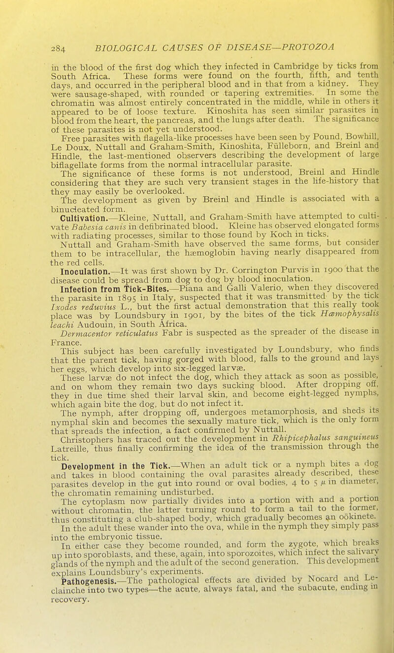 in the blood of the first dog which they infected in Cambridge by ticks from South Africa. These forms were found on the fourth, fifth, and tenth days, and occurred in the peripheral blood and in that from a kidney. They were sausage-shaped, with rounded or tapering extremities. In some the chromatin was almost entirely concentrated in the middle, while in others it appeared to be of loose texture. Kinoshita has seen similar parasites in blood from the heart, the pancreas, and the lungs after death. The significance of these parasites is not yet understood. Free parasites with flagella-Uke processes have been seen by Pound, Bowhill, Le Doux, Nuttall and Graham-Smith, Kinoshita, Fiilleborn, and Breinl and Hindle, the last-mentioned observers describing the development of large biflagellate forms from the normal intracellular parasite. The significance of these forms is not understood, Breinl and Hindle considering that they are such very transient stages in the life-history that they may easily be overlooked. The development as given by Breinl and Hindle is associated with a binudeated form. Cultivation.—Kleine, Nuttall, and Graham-Smith have attempted to culti- vate Babesia cawis in defibrinated blood. Kleine has observed elongated forms with radiating processes, similar to those found by Koch in ticks. Nuttall and Graham-Smith have observed the same forms, but consider them to be intracellular, the hajmoglobin having nearly disappeared from the red cells. Inoculation.—It was first shown by Dr. Corrington Purvis m 1900 that the disease could be spread from dog to dog by blood inoculation. Inlection from Tick-Bites.—Plana and Galli Valerio, when they discovered the parasite in 1895 in Italy, suspected that it was transmitted by the tick Ixodes reduvius L., but the first actual demonstration that this really took place was by Loundsbury in 1901, by the bites of the tick Hesmophysalts leachi Audouin, in South Africa. Dermacentor veiiculatus Fabr is suspected as the spreader of the disease m France. This subject has been carefully investigated by Loundsbury, who finds that the parent tick, having gorged with blood, falls to the ground and lays her eggs, which develop into six-legged larvae. • These larvse do not infect the dog, which they attack as soon as possible, and on whom they remain two days sucking blood. After dropping off, they in due time shed their larval skin, and become eight-legged nymphs, which again bite the dog, but do not infect it. The nymph, after dropping off, undergoes metamorphosis, and sheds its nymphal skin and becomes the sexually mature tick, which is the only form that spreads the infection, a fact confirmed by Nuttall. Christophers has traced out the development in Rhipicephalus sanguineus Latreille, thus finally confirming the idea of the transmission through the tick. , , Development in the Tick.—When an adult tick or a nymph bites a dog and takes in blood containing the oval parasites already described, these parasites develop in the gut into round or oval bodies, 4 to 5 m in diameter, the chromatin remaining undisturbed. The cytoplasm now partially divides into a portion wth and a portion without chromatin, the latter turning round to form a tail to the former, thus constituting a club-shaped body, which gradually becomes an ookinete. In the adult these wander into the ova, while in the nymph they simply pass into the embryonic tissue. . • , , i In either case they become rounded, and form the zygote, which breaks up into sporoblasts, and these, again, into sporozoites, which infect the salivary glands of the nymph and the adult of the second generation. This development explains Loundsbury's experiments. Pathogenesis.—The pathological effects ai-e divided by Nocard and i.e- clainche into two types—the acute, always fatal, and the subacute, ending m recovery.