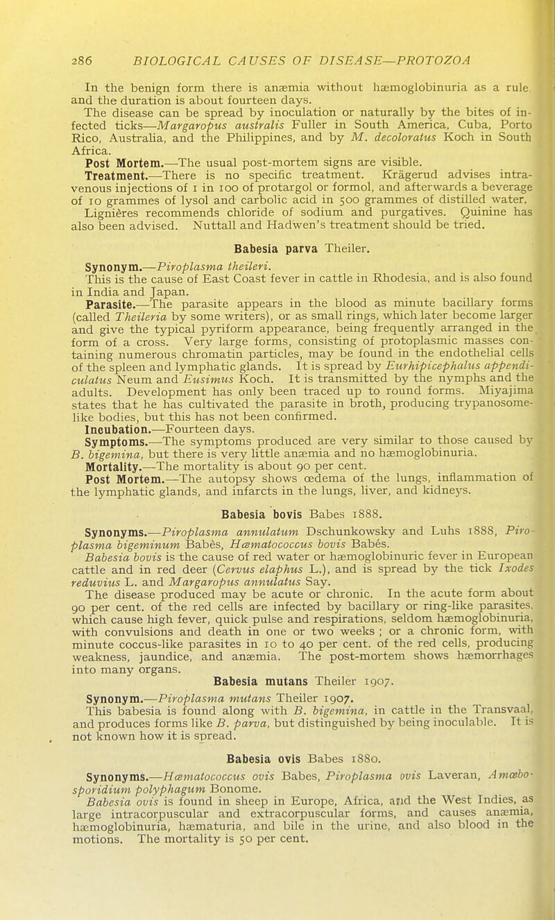 In the benign form there is anaemia without haemoglobinuria as a rule.j and the duration is about fourteen days. The disease can be spread by inoculation or naturally by the bites of in- fected ticks—Margaropus australis Fuller in South America, Cuba, Porto Rico, Australia, and the Philippines, and by M. decoloraius Koch in South Africa. Post Mortem.—The usual post-mortem signs are visible. Treatment.—There is no specific treatment. Kragerud advises intra- venous injections of i in loo of protargol or formol, and afterwards a beverage of lo grammes of lysol and carbolic acid in 500 grammes of distilled water. Ligni^res recommends chloride of sodium and purgatives. Quinine has also been advised. Nuttall and Hadwen's treatment should be tried. Babesia parva Theiler, Synonym.—PiVo^^flsma theileri. This is the cause of East Coast fever in cattle in Rhodesia, and is also found in India and Japan. Parasite.—The parasite appears in the blood as minute bacillary forms (called Theileria by some writers), or as small rings, which later become larger and give the typical pyriform appearance, being frequently arranged in the form of a cross. Very large forms, consisting of protoplasmic masses con- taining numerous chromatin particles, may be found in the endothelial cells of the spleen and lymphatic glands. It is spread by Eurhipicephaliis appendi- culatus Neum and Eusimus Koch. It is transmitted by the nymphs and the adults. Development has only been traced up to round forms. Miyajima states that he has cultivated the parasite in broth, producing trypanosome- like bodies, but this has not been confirmed. Incubation.—Fourteen days. Symptoms.—The symptoms produced are very similar to those caused by B. bigemina, but there is very little anaemia and no haemoglobinuria. Mortality.—The mortality is about 90 per cent. Post Mortem.—The autopsy shows oedema of the lungs, inflammation of the lymphatic glands, and infarcts in the lungs, liver, and kidneys. Babesia bovis Babes 1888. Synonyms.—Piroplasma annulatum Dschunkowsky and Luhs 1888, Piro- plasma bigeminum 13abes, Hcsmatococcus bovis Babes. Babesia bovis is the cause of red water or hsemoglobinuric fever in European cattle and in red deer {Cervus elaphus L.), and is spread by the tick Ixodes reduvius L. and Margaropus annulatus Say. The disease produced may be acute or clironic. In the acute form about 90 per cent, of the red cells are infected by bacillaiy or ring-like parasites, which cause high fever, quick pulse and respirations, seldom haemoglobinuria, with convulsions and death in one or two weeks ; or a chronic form, with minute coccus-like parasites in 10 to 40 per cent, of the red cells, producing weakness, jaundice, and anaemia. The post-mortem shows haemorrhages into many organs. Babesia mutans Theiler 1907. Synonym.—Piroplasma mutans Theiler 1907. This babesia is found along with B. bigemina, in cattle in the Transvaal, and produces forms like B. parva, but distinguished by being inoculable. It is not known how it is spread. Babesia ovis Babes 1880. Synonyms.—Hcsmatococcus ovis Babes, Piroplasma ovis Laveran, Amcebo- sporidium polyphagum Bonome. Babesia ovis is found in sheep in Europe, Africa, and the West Indies, as large intracorpuscular and extracorpuscular forms, and causes anaemia, hasmoglobinuria, haematuria, and bile in the urine, and also blood in the motions. The mortality is 50 per cent.