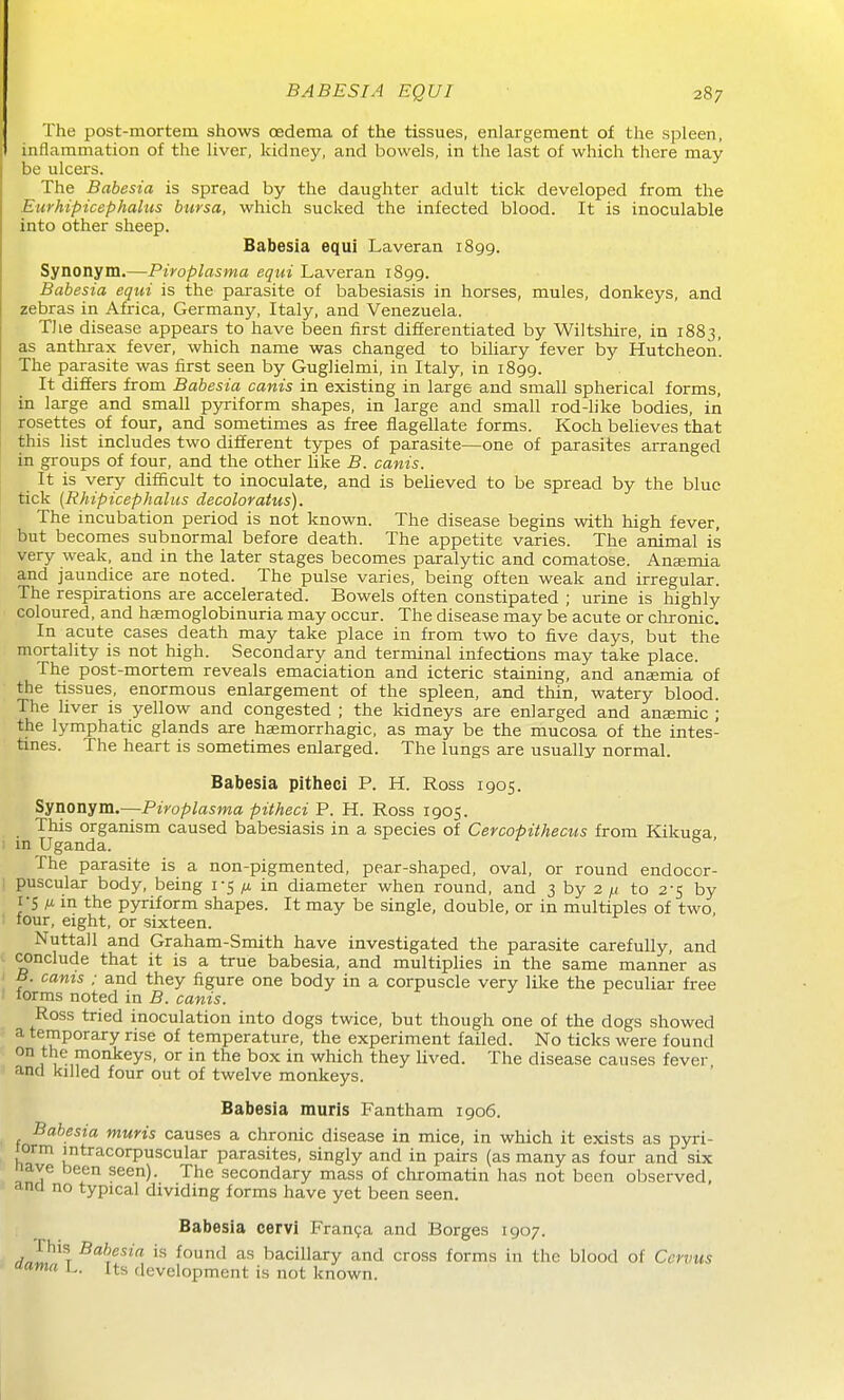 The post-mortem shows oedema of the tissues, enlargement of the spleen, inflammation of the liver, kidney, and bowels, in the last of which there may be ulcers. The Babesia is spread by the daughter adult tick developed from the Eurhipicephalus bursa, which sucked the infected blood. It is inoculable into other sheep. Babesia equi Laveran 1899. Synonym.—Piroplasma equi Laveran 1899. Babesia equi is the parasite of babesiasis in horses, mules, donkeys, and zebras in Africa, Germany, Italy, and Venezuela. TJie disease appears to have been first differentiated by Wiltshire, in 1883, as anthrax fever, which name was changed to biliary fever by Hutcheon'. The parasite was first seen by Guglielmi, in Italy, in 1899. It differs from Babesia canis in existing in large and small spherical forms, in large and small pyriform shapes, in large and small rod-like bodies, in rosettes of four, and sometimes as free flagellate forms. Koch believes that this list includes two different types of parasite—one of parasites arranged in groups of four, and the other like B. canis. It is very difficult to inoculate, and is believed to be spread by the blue tick {Rhipicephalus decoloratus). The incubation period is not known. The disease begins with high fever, but becomes subnormal before death. The appetite varies. The animal is very weak, and in the later stages becomes paralytic and comatose. Ansemia and jaundice are noted. The pulse varies, being often weak and irregular. The respirations are accelerated. Bowels often constipated ; urine is highly coloured, and hagmoglobinuria may occur. The disease may be acute or clironic. In acute cases death may take place in from two to five days, but the mortality is not high. Secondary and terminal infections may take place. The post-mortem reveals emaciation and icteric staining, and ansmia of the tissues, enormous enlargement of the spleen, and thin, watery blood. The liver is yellow and congested ; the kidneys are enlarged and ansemic ; the lymphatic glands are haemorrhagic, as may be the mucosa of the intes- tmes. The heart is sometimes enlarged. The lungs are usually normal. Babesia pitheci P. H. Ross 1905. Synonym.—Piroplasma pitheci P. H. Ross 1905. This organism caused babesiasis in a species of Cercopitkecus from Kikuga in Uganda. ' The parasite is a non-pigmented, pear-shaped, oval, or round endocor- puscular body, being 1-5 ^ in diameter when round, and 3 by 2 ^ to 2-5 by I'5 M m the pyriform shapes. It may be single, double, or in multiples of two four, eight, or sixteen. Nuttall and Graham-Smith have investigated the parasite carefully, and conclude that it is a true babesia, and multiplies in the same manner as B. cams ; and they figure one body in a corpuscle very like the peculiar free forms noted in B. canis. Ross tried inoculation into dogs twice, but though one of the dogs showed a temporary rise of temperature, the experiment failed. No ticks were found on the monkeys, or in the box in which they lived. The disease causes fever and killed four out of twelve monkeys. Babesia muris Fantham 1906. Babesia muris causes a chronic disease in mice, in which it exists as pyri- lorm intracorpuscular parasites, singly and in pairs (as many as four and six nave been seen). The secondary mass of chromatin has not been observed, ana no typical dividing forms have yet been seen. Babesia cervi Franca and Borges 1907. rf^i^^T ^'^^^'^'^ ^OLintl as bacillary and cross forms in the blood of Ccrvus uama L. its development is not known.