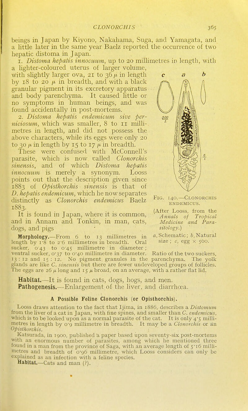 beings in Japan by Kiyono, Nakahama, Suga, and Yamagata, and a little later in the same year Baelz reported the occurrence of two hepatic distoma in Japan. 1. Distoma hepatis innocuum, up to 20 millimetres in length, with a lighter-coloured uterus of larger volume, with slightly larger ova, 21 to 36 /x in length by 18 to 20 [J. in breadth, and with a black granular pigment in its excretory apparatus and body parenchyma. It caused little or no symptoms in human beings, and was found accidentally in post-mortems. 2. Distoma hepatis endemicum sive per- niciosum, which was smaller, 8 to 11 milli- metres in length, and did not possess the above characters, while its eggs were only 20 to 30 jLt in length l3y 15 to 17 in breadth. These were confused with McCormell's parasite, which is now called Clonorchis sinensis, and of which Distoma hepatis innocuum is merely a synonym. Looss points out that the description given since 1883 of Opisthorchis sinensis is that of D. hepatis endemiciim, which he now separates distinctly as Clonorchis endemicus Baelz 1883. It is found in Japan, where it is common, and in Annam and Tonkin, in man, cats, dogs, and pigs Morphology.—From 6 to 13 millimetres in length by i'8 to 2'6 millimetres in breadth. Oral sucker, 0 43 to 0'45 millimetre in diameter ; ventral sucker, 0*37 to 0-40 millimetre in diameter. Ratio of the two suckers, 13 : 12 and 15 : 12. No pigment granules in the parenchyma. The yolk glands are like C. sinensis but there are fewer undeveloped groups of follicles. The eggs are 26 p. long and 15 /j. broad, on an average, with a rather flat lid. Habitat.—It is found in cats, dogs, hogs, and men. Pathogenesis.—Enlargement of the liver, and diarrhoea. A Possible Feline Clonorchis (or Opisthorchis). Looss draws attention to the fact that Ijima, in i886, describes a Distomum from the liver of a cat in Japan, with fine spines, and smaller than C. endemicus, which is to be looked upon as a normal parasite of the cat. It is only 4-5 milli- metres in length by o9 millimetre in breadth. It may be a Clonorchis or an Opisthorchis. Katsurada, in 1900, published 'a paper based upon seventy-six post-mortems with an enormous number of parasites, among which he mentioned three found in a man from the province of Saga, with an average length of Si6 milli- metres and breadth of 0*96 millimetre, which Looss considers can only bo explained as an infection with a feUne species. Habitat.—Cats and man (?). cab Fig. 140.—Clonorchis endemicus. (After Looss, from the Annals of Tropical Medicine and Para- sitology. ) fl. Schematic; 6,Natural size ; c, egg x 5O0.