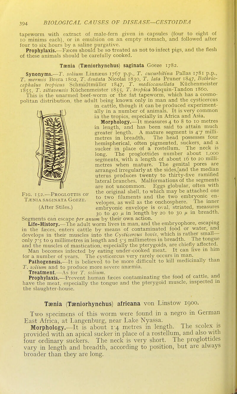 tapeworm with extract of male-fern given in capsules (four to eight of lo minims each), or in emulsion on an empty stomach, and followed after four to six hours by a saline purgative. Prophylaxis.—Fasces should be so treated as not to infect pigs, and the flesh of these animals should be carefully cooked. Taenia (Taeniorhynchus) saginata Goeze 1782. Synonyms.—T. solium Linnasus 1767 p.p., T. cucurbitina Pallas 1781 p.p., T. mermis Brera 1802, T. dentata Nicolai 1830, T. lata Pruner 1847, Bothrio- cephalus tropicus Schmidtmiiller 1847, T. mediocanellata Kiichenmeister 1855, T. zittavensis Kuchenmeister 1855, T. tropica Moquin-Tandon i860. This is the unarmed beef-worm or the fat tapeworm, which has a cosmo- politan distribution, the adult being known only in man and the cysticercus in cattle, though it can be produced experiment- ally in a number of animals. It is very common in the tropics, especially in Africa and Asia. Morphology.—It measures 4 to 8 to 10 metres in length, and has been said to attain much greater length. A mature segment is 47 milU- metres in breadth. The head possesses four hemispherical, often pigmented, suckers, and a sucker in place of a rostellum. The neck is long. The proglottides number about 1,000 segments, with a length of about 16 to 20 milU- metres when mature. The genital pores are arranged irregularly at the sides,[and the median uterus produces twenty to thirty-five ramified lateral branches. Malformations of the segments are not uncommon. Eggs globular, often \vith the original shell, to which may be attached one to two filaments and the two embryonic en- velopes, as well as the onchosphere. The inner embryonic envelope is oval, striated, measures 30 to 40 IX in length by 20 to 30 ;t in breadth. Segments can escape per anum bv their own action. Life-History.—The adult worm lives in man, and the embryophore, escapmg in the faeces, enters cattle by means of contaminated food or water, and develops in their muscles into the Cysticercus bovis, which is rather small— only 7-5 to 9 milUmetres in length and 5-5 millimetres in breadth. The tongue and the muscles of mastication, especially the pterygoids, are chiefly affected. Man becomes infected by eating under-cooked meat. It can live m him for a number of years. The cysticercus very rarely occurs in man. Pathogenesis.—It is believed to be more difficult to kill medicinally than T. solium and to produce more severe anasmia. Treatment.—As for T. solium. Prophylaxis.—Prevent human fjeces contaminating the food of cattle, and have the meat, especially the tongue and the pterygoid muscle, inspected in the slaughter-house. Fig. 152.—Proglottis of Ti^JNIA SAGINATA GoEZE. (After Stiles.) Taenia (Taeniorhynchus) africana von Linstow 1900. Two specimens of this worm were found in a negro in German East Africa, at Langenburg, near Lake Nyassa. Morphology.—It is about 1-4 metres in length. The scolex is provided with an apical sucker in place of a rostellum, and also \yith four ordinary suckers. The neck is very short. The proglottides vary in length and breadth, according to position, but are always broader than they are long.