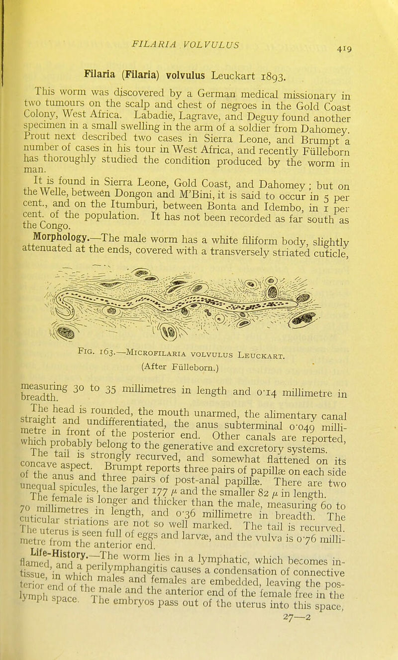 FILARIA , VOLVULUS 419 Filaria (Filaria) volvulus Leuckart 1893. This worm was discovered by a German medical missionary in two tumours on the scalp and chest of negi-oes in the Gold Coast Colony, West Africa. Labadie, Lagrave, and Deguy found another specimen m a small swelling in the arm of a soldier from Dahomey Prout next described two cases in Sierra Leone, and Brumpt a number of cases m his tour in West Africa, and recently Fiilleborn has thoroughly studied the condition produced by the worm in man. .u^tf ^^^^^ ^0^^ Coast, and Dahomey ; but on the Welle between Dongon and M'Bini, it is said to occur in =; per cent., ^d on the Itumburi, between Bonta and Idembo, in i per cent of the population. It has not been recorded as far south as the Congo. Morphology.—The male worm has a white fiHform body, sli^htlv attenuated at the ends, covered with a transversely striated cuticle. Fig. 163.—Microfilaria volvulus Leuckart. (After Fiilleborn.) EdtlT^ ^° ^° milHmetres in length and 0-14 millimetre in str^llhl'^^'^H'' 'T^^^' ^^^^ unarmed, the alimentary canal r^e^i! L ? undifferentiated, the anus subterminal 0-049 mSl- metre m front of the posterior end. Other canals are innrlprl wbch p-obably belong L the generative and exS^^^^^ concave alert T'''^^^' ^u^ ^o^ewhat flattened on its o^he Luf ' H ^^^^ ''PT*' P^^'^ P^P^l^ °^ ^a^h side unequal soL^i ^I f P°'^^^^^ P^P^^^^ ^^^'^ unequal spicules the larger 177 and the smaller 82 a m length 70 milliTf' ^'-^'T' ^^^^^^^ ^^^^ the male, measur ng 60 to ^^t^S^TZ:^ length, and 0-36 millimetre in breadtirTl e Th uteru S see^^^^^^ '° ^.F tail is recurved. mel^'fimlhTaVtSof e^T ''^^ ^^^ -i- fla^Snd 7;7;nv'n.T™ V ' ^ lymphatic, which becomes in- tissue in f ly^^Phangitis causes a condensation of connective r o^^^^d^f;t ^ r [emales are embedded, leaving the pos- y npn space. The embryos pass out of the uterus into this space, 27—2