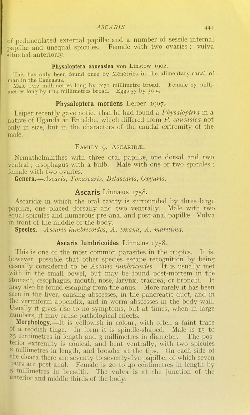 of pedunculated external papillae and a number of sessile internal papillae and unequal spicules. Female with two ovaries ; vulva situated anteriorly. Physaloptera caucasica von Linstow 1902. This has only been found once by Menetries in the alimentary canal of man in the Caucasus. Male 1-42 millimetres long by 071 milUmetre broad. Female 27 milli- metres long by 1-14 milUmetres broad. Eggs 57 by 39 /t, Physaloptera mordens Leiper 1907. Leiper recently gave notice that he had found a Physaloptera in a native of Uganda at Entebbe, which differed from P. caucasica not only in size, but in the characters of the caudal extremity of the male. Family 9. Ascarid^. Nemathelminthes with three oral papillae, one dorsal and two ventral; oesophagus with a bulb. Male with one or two spicules ; female with two ovaries. Genera.—Ascaris, Toxascaris, Belascaris, Oxyuris. Ascaris Linnaeus 1758. Ascaridae in which the oral cavity is surrounded by three large papillae, one placed dorsally and two ventrally. Male with two equal spicules and numerous pre-anal and post-anal papillae. Vulva in front of the middle of the body. Species.—Ascaris lumbricoides, A. texana, A. maritima. Ascaris lumbricoides Linnaeus 1758. This is one of the most common parasites in the tropics. It is, however, possible that other species escape recognition by being casually considered to be Ascaris lumbricoides. It is usually met with in the small bowel, but may be found post-mortem in the stomach, oesophagus, mouth, nose, larynx, trachea, or bronchi. It may also be found escaping from the anus. More rarely it has been seen in the liver, causing abscesses, in the pancreatic duct, and in the vermiform appendix, and in worm abscesses in the body-wall. Usually it gives rise to no symptoms, but at times, when in large numbers, it may cause pathological effects. Morphology.—It is yellowish in colour, with often a faint trace of a reddish tinge. In form it is spindle-shaped. Male is 15 to 25 centimetres in length and 3 millimetres in cliameter. The pos- ttnov extremity is conical, and bent ventrally, with two spicules 2 millimetres in length, and broader at the tips. On each side of the cloaca there are seventy to seventy-five papillae, of which seven pairs are post-anal. Female is 20 to 40 centimetres in length by .5 millimetres in breadth. The vulva is at the junction of the anterior and middle thirds of the body.