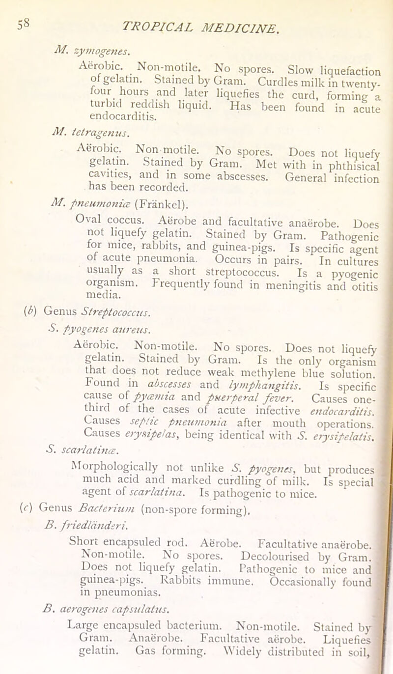 M. zymogenes. Aerobic. Non-motile. No spores. Slow liquefaction of gelatin. Stained by Gram. Curdles milk in twenty- four hours and later liquefies the curd, forming a turbid reddish liquid. Has been found in acute endocarditis. M. ieiragenus. Aerobic. Non motile. No spores. Does not liquefy gelatin. Stained by Gram. Met with in phthisical cavities, and in some abscesses. General infection has been recorded. M. pneumonia (Friinkel). Oval coccus. Aerobe and facultative anaerobe. Does not liquefy gelatin. Stained by Gram. Pathogenic for mice, rabbits, and guinea-pigs. Is specific agent of acute pneumonia. Occurs in pairs. In cultures usually as a short streptococcus. Is a pyogenic organism. Frequently found in meningitis and otitis media. [h) Genus Streptococcus. A. pyogenes aureus. Aerobic. Non-motile. No spores. Does not liquefy gelatin. Stained by Gram. Is the only organism that does not reduce weak methylene blue solution. Found in abscesses and lymphangitis. Is specific cause of pyamia and puerperal fever. Causes one- third of the cases of acute infective endocarditis. Causes septic pneumonia after mouth operations. Causes erysipelas, being identical with A. eiysipelatis, A. scarlatina. Morphologically not unlike A. pyogenes, but produces much acid and marked curdling of milk. Is special agent of scarlatina. Is pathogenic to mice. {c) Genus Bacterium (non-spore forming). B. friedliinderi. Short encapsuled rod. Aerobe. Facultative anaerobe. Non-motile. No spores. Decolourised by Gram. Does not liquefy gelatin. Pathogenic to mice and guinea-pigs. Rabbits immune. Occasionally found in pneumonias. B. aerogenes capsulatus. Large encapsuled bacterium. Non-motile. Stained by Gram. Anaerobe. Facultative aerobe. Liquefies gelatin. Gas forming. Widely distributed in soil.