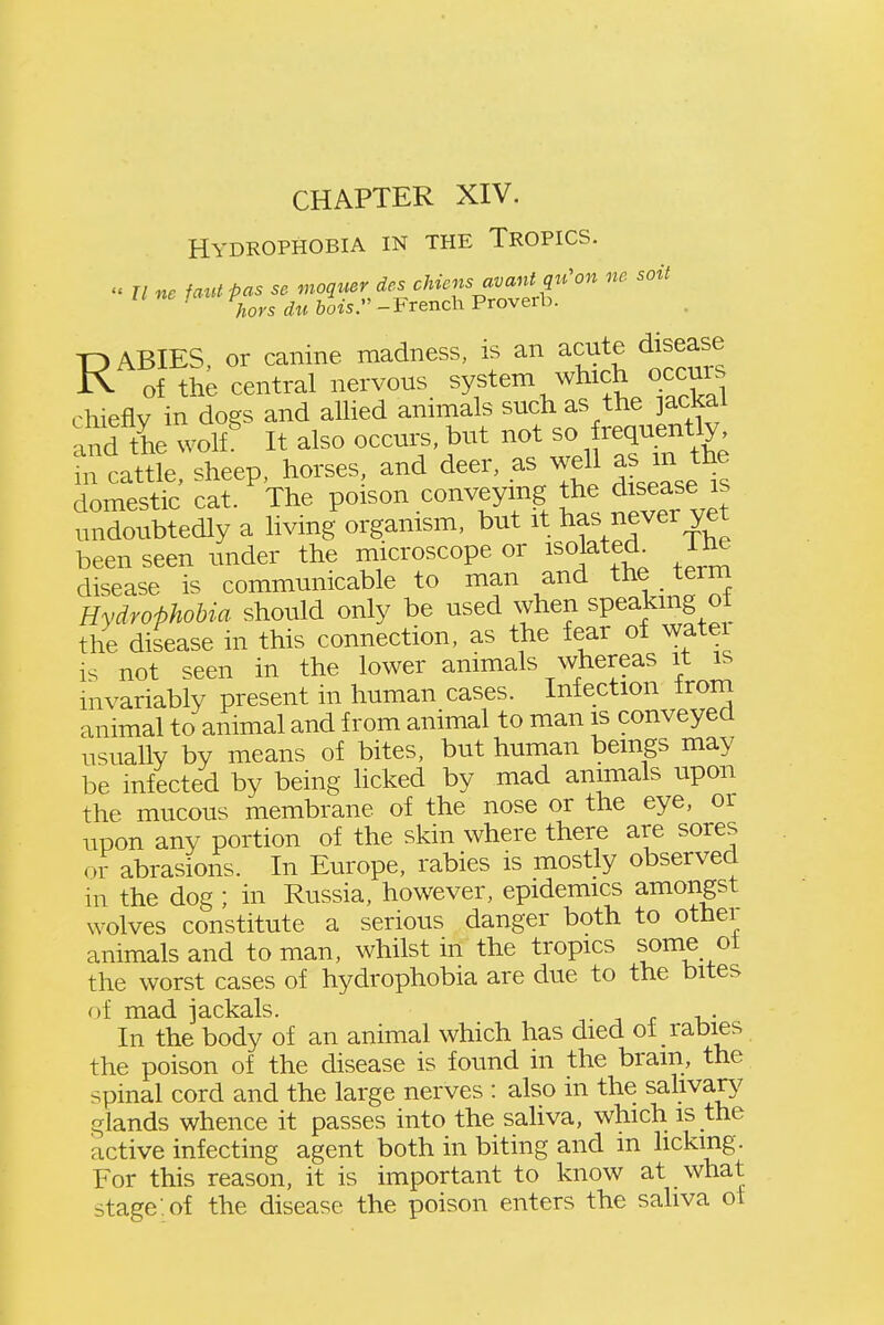 CHAPTER XIV. Hydrophobia in the Tropics.  U ne faul pas se moquer des chiensavant qu'on ne soil ^ hors dM bois. - French Proverb. RABIES, or canine madness, is an acute disease of the central nervous sy^^em which occurs chiefly in dogs and aUied animals such as the jackal and tie wolf^ It also occurs, but not - f e^^^^^^^^ m cattle, sheep, horses, and deer, as well as m the domestic cat. The Poison conveying the dis^^^^^^^^ undoubtedly a living organism, but it has never yet been seen under the microscope or isolated^ I he disease is communicable to man and the term Hydrophobia should only be used when speaking ot the disease in this connection, as the fear of water is not seen in the lower animals whereas it is invariably present in human cases. Infection from animal to animal and from animal to man is conveyed usually by means of bites, but human beings may be infected by being hcked by mad animals upon the mucous membrane of the nose or the eye, or upon any portion of the skin where there are sores or abrasions. In Europe, rabies is mostly observed in the dog ; in Russia, however, epidemics amongst wolves constitute a serious danger both to othei animals and to man, whilst in the tropics some ot the worst cases of hydrophobia are due to the bites of mad jackals. j r x,- In the body of an animal which has died ot rabies the poison of the disease is found in the brain, the spinal cord and the large nerves : also in the salivary glands whence it passes into the saliva, which is the active infecting agent both in biting and in hckmg. For this reason, it is important to know at what stage-.of the disease the poison enters the saliva ot