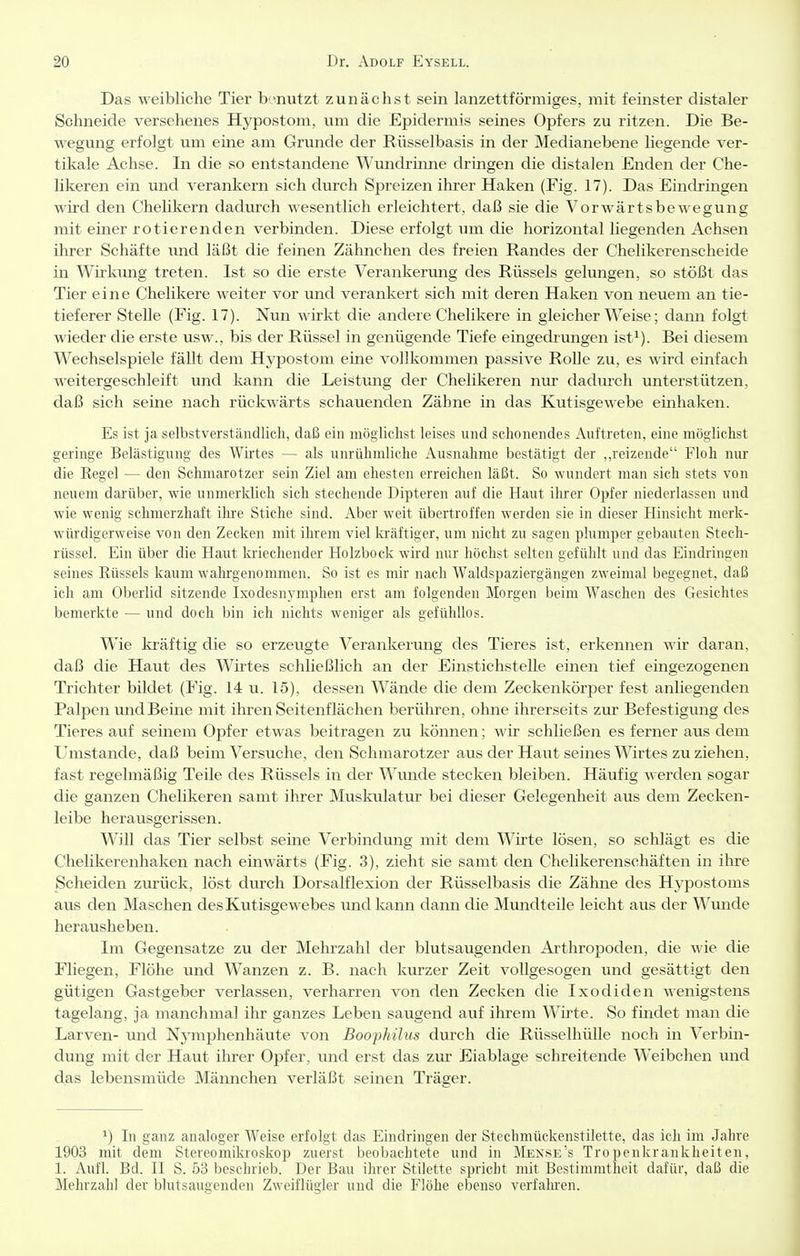 Das weibliche Tier b'^nutzt zunächst sein lanzettförmiges, mit feinster distaler Sohneide versehenes Hypostom, um die Epidermis semes Opfers zu ritzen. Die Be- wegung erfolgt um eine am Grunde der Rüsselbasis in der Medianebene liegende ver- tikale Achse. In die so entstandene Wundrhme dringen die distalen Enden der Che- likeren ein und verankern sich durch Spreizen ihrer Haken (Fig. 17). Das Eindringen wild den Chelikern dadurch wesentlich erleichtert, daß sie die Vorwärtsbewegung mit emer rotierenden verbinden. Diese erfolgt um die horizontal liegenden Achsen ihrer Schäfte und läßt die feinen Zähnchen des freien Randes der Chelikerenscheide in Wirkimg treten. Ist so die erste Verankerung des Rüssels gelvmgen, so stößt das Tier eine Chelikere weiter vor und verankert sich mit deren Haken von neuem an tie- tieferer Stelle (Fig. 17). Nun wirkt die andere Chelikere in gleicherweise; dann folgt wieder die erste usw., bis der Rüssel in genügende Tiefe eingedrungen ist^). Bei diesem Wechselspiele fällt dem Hypostom eine vollkommen passive Rolle zu, es wird einfach weitergeschleift und kann die Leistmig der Chelikeren nur dadm-ch unterstützen, daß sich seine nach rückwärts schauenden Zähne in das Kutisgewebe einhaken. Es ist ja selbstverständlich, daß ein möglichst leises und schonendes Auftreten, eine möglichst geringe Belästigung des Wirtes — als unrühmliche Ausnahme bestätigt der ,,reizende Floh nur die Eegel — den Schmarotzer sein Ziel am ehesten erreiclien läßt. So wundert man sieh stets von neuem darüber, wie unmerklich sich stechende Dipteren auf die Haut ihrer Opfer niederlassen und wie wenig schmerzhaft ilire Stiche sind. Aber weit übertroffen werden sie in dieser Hinsicht merk- würdigerweise von den Zecken mit ihrem viel kräftiger, um nicht zu sagen plumper gebauten Stech- rüssel. Ein über die Haut kriechender Holzbock wird nur höchst selten gefühlt und das Eindringen seines Rüssels kaum wahrgenommen. So ist es mir nach Waldspaziergängen zweimal begegnet, daß ich am Oberlid sitzende Ixodesnymphen erst am folgenden Morgen beim Waschen des Gesichtes bemerkte — und doch bin ich nichts weniger als gefühllos. Wie la'äftig die so erzeugte Verankerung des Tieres ist, erkennen wir daran, daß die Haut des Wirtes schließlich an der Einstichstelle einen tief eingezogenen Trichter bildet (Fig. 14 u. 15), dessen Wände die dem Zeckenkörper fest anliegenden Palpen und Beine mit ihren Seitenflächen berühren, ohne ihrerseits zur Befestigung des Tieres auf seinem Opfer etwas beitragen zu können; wir schließen es ferner aus dem Umstände, daß beim Versuche, den Schmarotzer aus der Haiit seines Wirtes zu ziehen, fast regelmäßig Teile des Rüssels in der Wvmde stecken bleiben. Häufig werden sogar die ganzen Chelikeren samt ihrer Muskulatur bei dieser Gelegenheit aus dem Zecken- leibe herausgerissen. Will das Tier selbst seine Verbindrmg mit dem Wirte lösen, so schlägt es die Chelikerenhaken nach einwärts (Fig. 3), zieht sie samt den Chelikerenschäften in ilire Scheiden zurück, löst durch Dorsalflexion der Rüsselbasis die Zähne des Hypostoms aus den Maschen desKutisgewebes imd kann dann die Mvmdteile leicht aus der Wimde herausheben. Im Gegensatze zu der Mehrzahl der blutsaugenden Arthropoden, die wie die Fliegen, Flöhe und Wanzen z. B. nach kurzer Zeit vollgesogen und gesättigt den gütigen Gastgeber verlassen, verharren von den Zecken die Ixodiden wenigstens tagelang, ja manchmal ihr ganzes Leben saugend auf ihrem Wirte. So findet man die Larven- und N3'mphenliäute von Boophiliis durch die Rüsselhülle noch in Verbin- dung mit der Haut ihrer Opfer, und erst das zm* Eiablage schreitende Weibchen und das lebensmüde Männchen verläßt seinen Träger. 1) In ganz analoger Weise erfolgt das Eindringen der Stechmückenstilette, das ich im Jahre 1903 mit dem Stereomikroskop zuerst beobachtete und in Mexse's Tropenkrankheiten, 1. Aufl. Bd. II S. 53 beschrieb. Der Bau ihrer Stilette spricht mit Bestimmtheit dafür, daß die Mehrzahl der blutsaugenden Zweiflügler und die Flöhe ebenso verfahi'en.