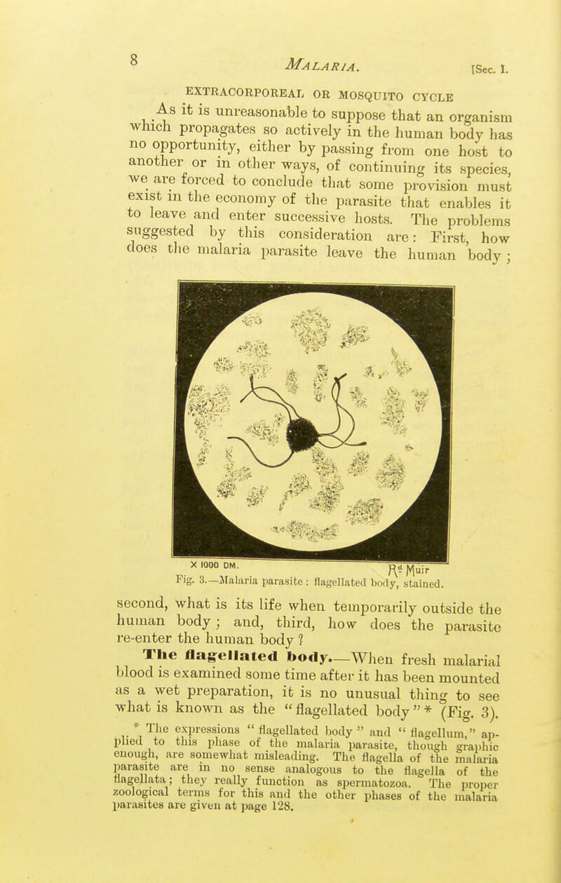 Malar J A. tSec. 1. EXTRACORPOREAL OR MOSQUITO CYCLE As it is unreasonable to suppose that an organism which propagates so actively in the human body has no opportunity, either by passing from one host to another or in other ways, of continuing its species, we are forced to conclude tliat some provision must exist m the economy of the parasite that enables it to leave and enter successive hosts. The problems suggested by this consideration are: First, how- does the malaria parasite leave the human body • X 1000 DM. ^pT^^ Fig. 3—Malaria parasite : flagellated bofly, stained. second, what is its life when temporarily outside the human body; and, third, how does the parasite re-enter the human body ? The llag^ellated body—When fresh malarial blood is examined some time after it has been mounted as a wet preparation, it is no unusual thing to see what is known as the  flagellated body  * (Fig. 3). * The expressions  flagellated body  and  flagellum, ap- plied to this phase of the malaria parasite, though srai)hic euough, are somewhat misleading. The flagella of the malaria parasite are in no sense analogous to the flagella of the liagellata; they really function as spermatozoa. The in-oper zoological terms for this and the other phases of the malaria parasites are given at page 128.