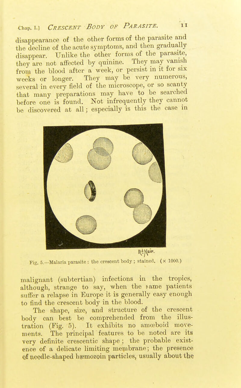 disappearance of the other forms of the parasite and the decline of the acute symptoms, and then gradually disappear. Unlike the other forms of the parasite, they are not affected by quinine. They may vanish from the blood after a week, or persist in it for six weeks or longer. They may be very numerous, several in every field of the microscope, or so scanty that many preparations may have to be searched before one is found. Not infrequently they cannot be discovered at all; especially is this the case in Fig. 5.—Malaria parasite : the crescent body ; stained, (x 1000.) malignant (subtertian) infections in the tropics, although, strange to say, when the same patients suffer a relapse in Europe it is generally easy enough to find the crescent body in the blood. The shape, size, and structure of the crescent body can best be comprehended from the illus- tration (Fig. 5). It exhibits no amoeboid move- ments. The principal features to be noted are its very definite crescentic shape ; the probable exist- ence of a delicate limiting membrane; the presence of needle-shaped hgemozoin particles, usually about the