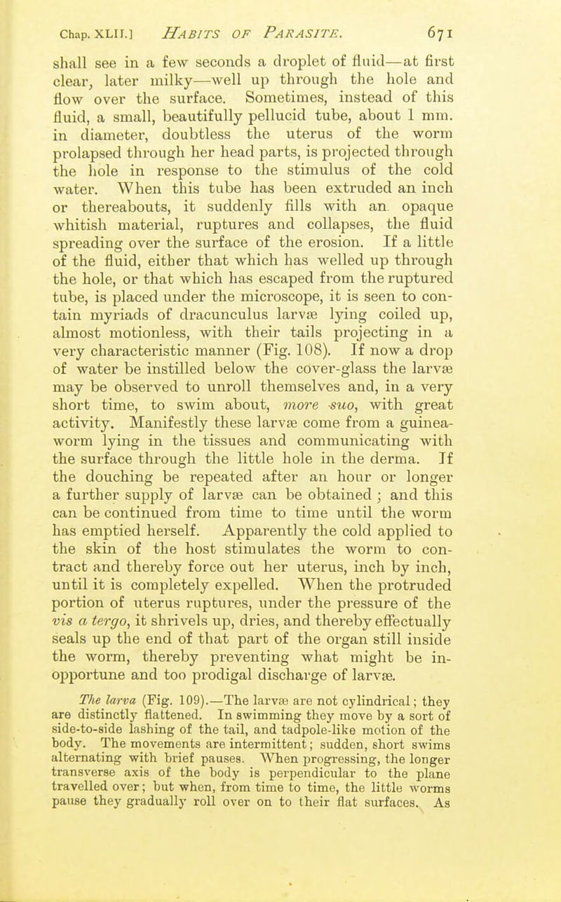 shall see in a few seconds a droplet of fluid—at first clear, later milky—well up through the hole and flow over the surface. Sometimes, instead of this fluid, a small, beautifully pellucid tube, about 1 mm. in diameter, doubtless the uterus of the worm prolapsed through her head parts, is projected through the hole in response to the stimulus of the cold water. When this tube has been extruded an inch or thereabouts, it suddenly fills with an opaque whitish material, ruptures and collapses, the fluid spreading over the surface of the erosion. If a little of the fluid, either that which has welled up through the hole, or that which has escaped from the ruptured tube, is placed under the microscope, it is seen to con- tain myriads of dracunculus larvae lying coiled up, almost motionless, with their tails projecting in a very chai'acteristic manner (Fig. 108). If now a drop of water be instilled below the cover-glass the larvae may be observed to unroll themselves and, in a very short time, to swim about, more suo, with great activity. Manifestly these larvae come from a guinea- worm lying in the tissues and communicating with the surface through the little hole in the derma. If the douching be repeated after an hour or longer a further supply of larvae can be obtained ; and this can be continued from time to time until the worm has emptied herself. Apparently the cold applied to the skin of the host stimulates the worm to con- tract and thereby force out her uterus, inch by inch, until it is completely expelled. When the protruded portion of uterus ruptures, under the pressure of the vis a tergo, it shrivels up, dries, and thereby effectually seals up the end of that part of the organ still inside the worm, thereby preventing what might be in- o^jportune and too prodigal discharge of larvae. The larva (Fig. 109).—The larvas are not cylindrical; they are distinctly flattened. In swimming they move by a sort of side-to-side lashing of the tail, and tadpole-like motion of the body. The movements are intermittent; sudden, short swims alternating with brief pauses. When ijrogressing, the longer transverse axis of the body is perpendicular to the plane travelled over; but when, from time to time, the little worms pause they gradually roll over on to their flat surfaces. As