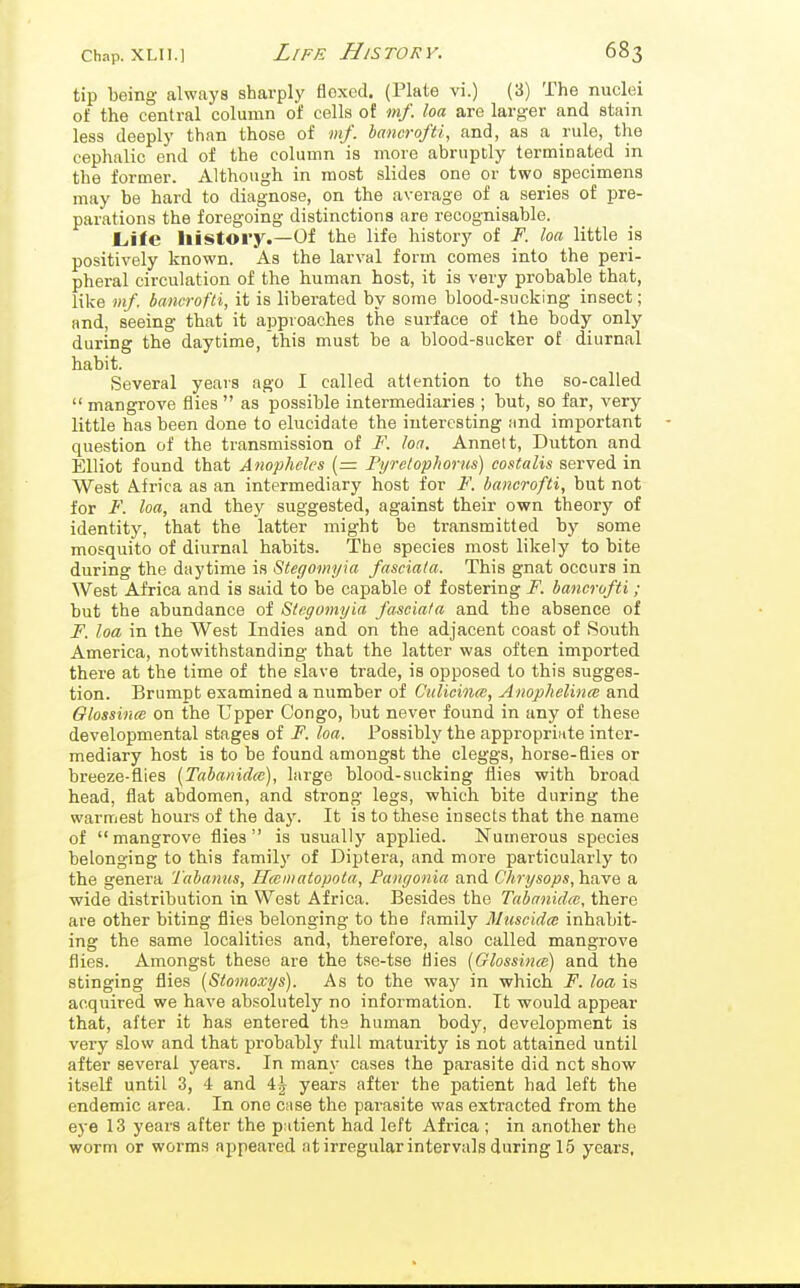 tip being always sharply flexed. (Plate vi.) (3) The nuclei of the central column of cells of mf. loa are larger and stain less deeply than those of mf. bancrofti, and, as a rule, the cephalic end of the column is more abruptly terminated in the former. Although in most slides one or two specimens may be hard to diagnose, on the average of a series of pre- parations the foregoing distinctions are recognisable. JLife history.—Of the life history of F. loa little is positively known. As the larval form comes into the peri- pheral circulation of the human host, it is very probable that, like mf. bancrofti, it is liberated by some blood-sucking insect; and, seeing that it approaches the surface of the body only during the daytime, this must be a blood-sucker of diurnal habit. Several years ago I called attention to the so-called  mangrove flies  as possible intermediaries ; but, so far, very little has been done to elucidate the interesting iind important question of the transmission of F. loa. Annett, Button and Elliot found that Anopheles (= Pyrotophorus) costalis served in West Africa as an intermediary host for F. bancrofti, but not for F. loa, and they suggested, against their own theory of identity, that the latter might be transmitted by some mosquito of diurnal habits. The species most likely to bite during the daytime is Stegomyia fasciala. This gnat occurs in West Africa and is said to be capable of fostering F. bancrofti ; but the abundance of Stegomyia fasciala and the absence of F. loa in the West Indies and on the adjacent coast of South America, notwithstanding that the latter was often imported there at the time of the slave trade, is opposed to this sugges- tion. Brumpt examined a number of Culicince, Anophelince and Olossinm on the Upper Congo, but never found in any of these developmental stages of F. loa. Possibly the approprinte inter- mediary host is to be found amongst the cleggs, horse-flies or breeze-flies {Tabanidce), large blood-sucking flies with broad head, flat abdomen, and strong legs, which bite during the warmest hours of the day. It is to these insects that the name of mangrove flies is usually applied. Numerous species belonging to this family of Diptera, and moi-e particularly to the genera Tabanus, Hwiiiatopota, Pangonia and C'hrysops,ha,ve a wide distribution in West Africa. Besides the Tabanidce, there are other biting flies belonging to the family Muscida; inhabit- ing the same localities and, therefore, also called mangrove flies. Amongst these are the tse-tse flies [Glossinat) and the stinging flies [Siomoxys). As to the way in which F. loa is acquired we have absolutely no information. It would appear that, after it has entered the human body, development is very slow and that probably full maturity is not attained until after several years. In many cases the parasite did not show itself until 3, 4 and i\ years after the patient had left the endemic area. In one c.ise the parasite was extracted from the eye 13 years after the p:itient had left Africa ; in another the worm or worms appeared at irregular intervals during 15 years,