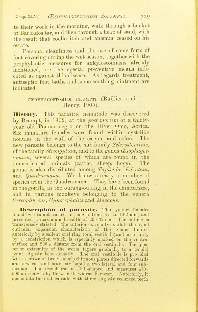 to their work in the morning, walk through a bucket of Barbados tar, and then through a heap of sand, with the result that coolie itch and anjemia ceased on his estate. Personal cleanliness and the use of some form of foot covering during the wet season, together with the prophylactic measures for ankylostomiasis already mentioned, are the special preventive means indi^- cated as against this disease. As regards treatment, antiseptic foot baths and some soothing ointment are indicated. CESOPHAGOSTOMUM BRUMPTI (RaiUiet and Henry, 1905). History.—This parasitic nematode was discovered by Brumpt, in 1902, at the post-morlevi of a thirty- year old Pouma negro on the River Omo, Africa. Six immature females were found within cyst-like nodules in the wall of the csecum and colon. The new parasite belongs to the sub-family Sclerostomince, of the family Strongylidce, and to the genus (Esophagos- tonviom, several species of which are found in the domesticated animals (cattle, sheep, hogs). The genus is also distributed among Tapiridce, Edentata, and Quadrumana. We know already a number of species from the Quadrumana. They have been found in the gorilla, in the ourang-outang, in the chimpanzee, and in various monkeys belonging to the genera Cercopithecus, Cynocej)halus and Macacus. Description of parasite.—The young females found by Brumpt varied in length from 8-5 to 10-2 mm. and presented a maximum breadth of 295-32.5 fi. The cuticle is transversely striated ; the anterior extremity exhibits the ovoid cuticular expansion characteristic of the genus, limited anteriorly by a salient oral ring (oral vestibule) and posteriorly by a constriction which is especially marked on the ventral surface and 200 jj. distant from the oral vestibule. The pos- terior extremity of the worm tapers gradually to a caudal point slightly bent dorsally. The oral vestibule is provided with a crown of twelve sharp chitinous plates directed forwards and inwards, and bears six papilhe, two lateral and four sub- median. The oesophagus is club-shaped and measures 470- 500 fj. in length by 150 fi in its widest diameter. Anteriorly, it opens into the oral capsule with three slightly recurved teeth