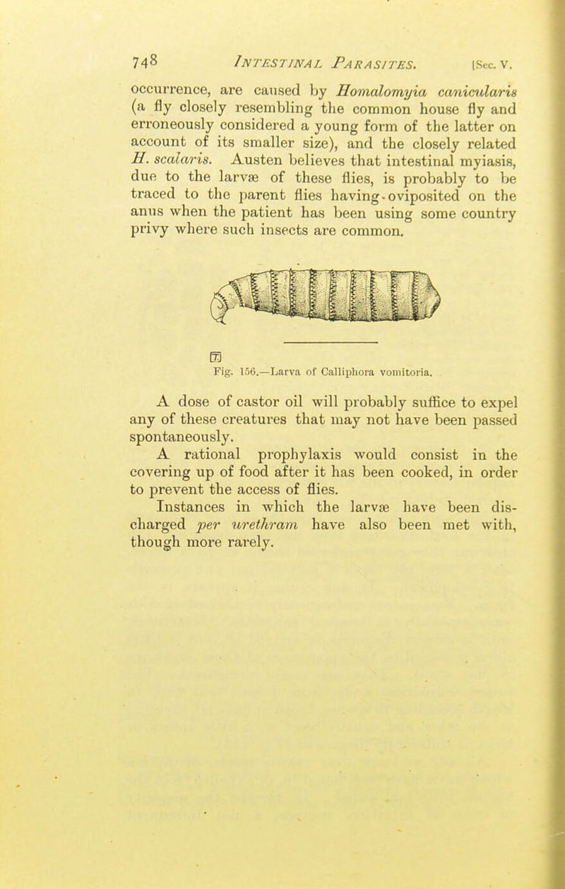 occurrence, are caused by Homalomyia canicularis (a fly closely resembling the common house fly and erroneously considered a young form of the latter on account of its smaller size), and the closely related B. scalaris. Austen believes that intestinal myiasis, due to the larvae of these flies, is probably to be traced to the parent flies having-oviposited on the anus when the patient has been using some country privy where such insects are common. m Fig. 15G.—Larva nf Calliphoia vomitoiia. A dose of castor oil will probably suffice to expel any of these creatures that may not have been passed spontaneously. A rational prophylaxis would consist in the covering up of food after it has been cooked, in oi'der to prevent the access of flies. Instances in which the larvse have been dis- charged ^jer urethram have also been met with, though moi'e rarely.