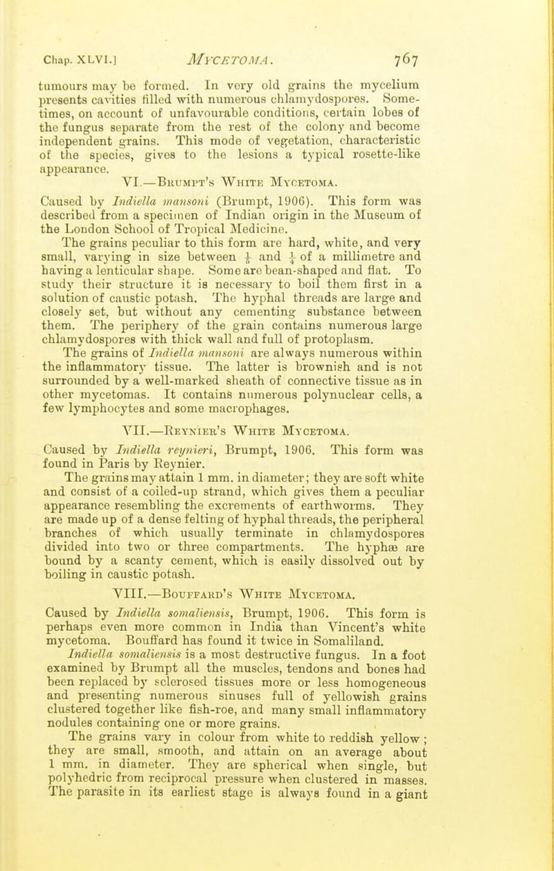 tumours may be formed. In very old grains the mycelium presents cavities filled with numerous chlamydospores. Some- times, on account of unfavourable conditions, certain lobes of the fungus separate from the rest of the colony and become independent grains. This mode of vegetation, characteristic of the species, gives to the lesions a typical rosette-like appearance. VI. —Brumpt's White Mycetoma. Caused by Indiella mansoni (Brumpt, 1906). This form was described from a specimen of Indian origin in the Museum of the London School of Tropical Medicine. The grains peculiar to this form are hard, white, and very small, varying in size between \ and |- of a millimetre and having a lenticular shape. Some are bean-shaped and flat. To study their structure it is necessary to boil them first in a solution of caustic potash. The hyphal threads are large and closely set, but without any cementing substance between them. The periphery of the grain contains numerous large chlamydospores with thick wall and full of protoplasm. The grains of Indiella mansoni are always numerous within the inflammatory tissue. The latter is brownish and is not surrounded by a well-marked sheath of connective tissue as in other mycetomas. It contains numerous polynuclear cells, a few lymphocytes and some macrophages. VII. —Eeynieb's White Mycetoma. Caused by Indiella reynieri, Brumpt, 1906. This form was found in Paris by Reynier. The grains may attain 1 mm. in diameter; they are soft white and consist of a coiled-up strand, which gives them a peculiar appearance resembling the excrements of earthworms. They are made up of a dense felting of hyphal threads, the peripheral branches of which usually terminate in chlamydospores divided into two or three compartments. The hyphae are bound by a scanty cement, which is easily dissolved out by boiling in caustic potash. VIII.—Bouffahd's White Mycetoma. Caused by Indiella somaliensis, Brumpt, 1906. This form is perhaps even more common in India than Vincent's white mycetoma. Boufi'ard has found it twice in Somaliland. Indiella somaliensis is a most destructive fungus. In a foot examined by Brumpt all the muscles, tendons and bones had been replaced by sclerosed tissues more or less homogeneous and presenting numerous sinuses full of yellowish grains clustered together like fish-roe, and many small inflammatory nodules containing one or more grains. The grains vary in colour from white to reddish yellow; they are small, smooth, and attain on an average about 1 mm. in diameter. They are spherical when single, but polyhcdric from reciprocal pressure when clustered in masses. The parasite in its earliest stage is always found in a giant
