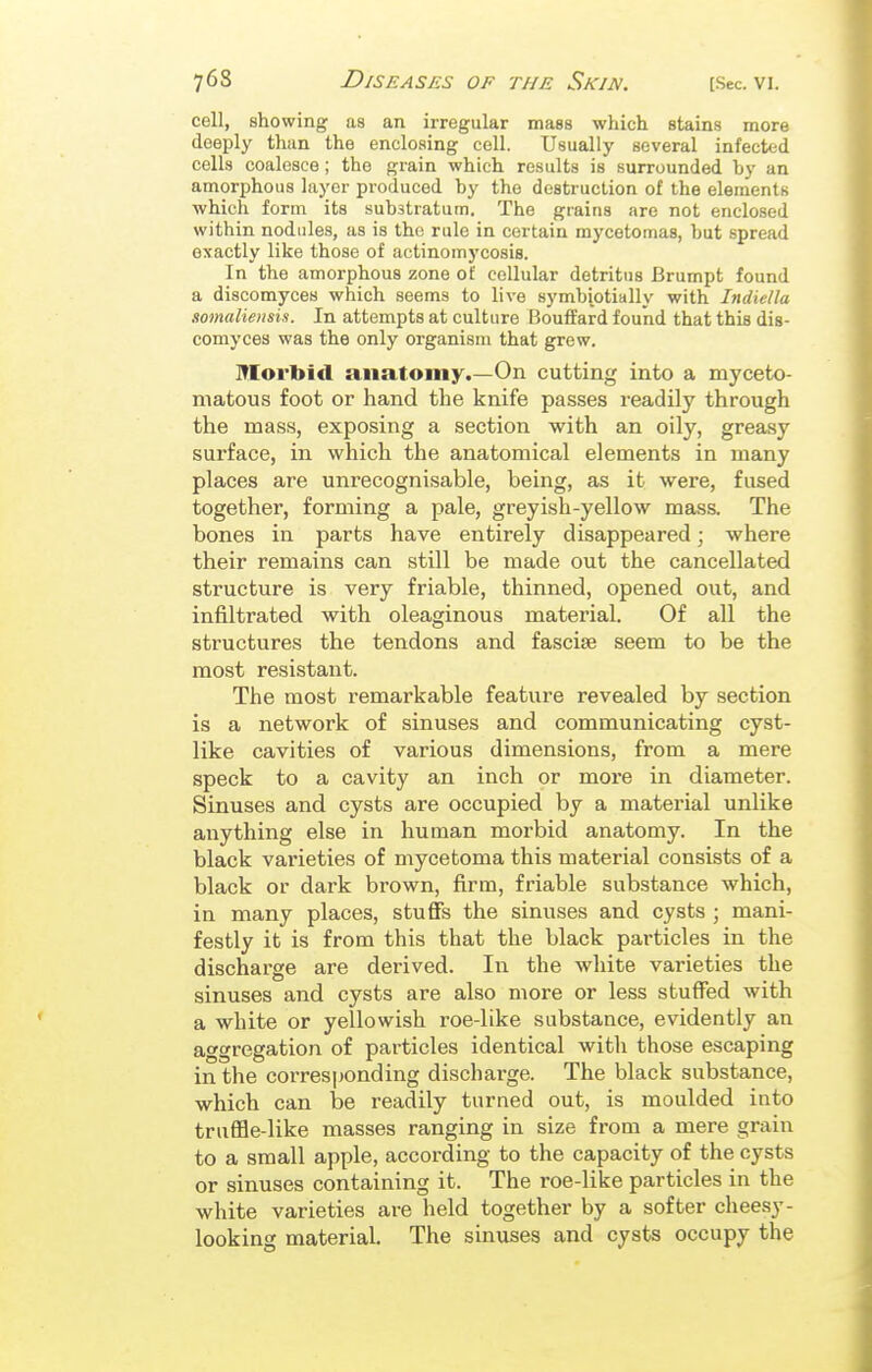 cell, showing as an irregular mass which stains more deeply than the enclosing cell. Usually several infected cells coalesce; the grain which results is surrounded hy an amorphous layer produced by the destruction of the elements which form its substratum. The grains are not enclosed within nodules, as is the rule in certain mycetomas, but spread exactly like those of actinomycosis. In the amorphous zone of cellular detritus Brumpt found a discomyces which seems to live symbiotially with Indiella somaliensis. In attempts at culture Bouflard fouiad that this dis- comyces was the only organism that grew. Morbid anatomy.—On cutting into a myceto- niatous foot or hand the knife passes readily through the mass, exposing a section with an oily, greasy surface, in which the anatomical elements in many places are unrecognisable, being, as it were, fused together, forming a pale, greyish-yellow mass. The bones in parts have entirely disappeared; where their remains can still be made out the cancellated structure is very friable, thinned, opened out, and infiltrated with oleaginous material. Of all the structures the tendons and fasciae seem to be the most resistant. The most remarkable feature revealed by section is a network of sinuses and communicating cyst- like cavities of various dimensions, from a mere speck to a cavity an inch or more in diameter. Sinuses and cysts are occupied by a matei'ial unlike anything else in human morbid anatomy. In the black varieties of mycetoma this material consists of a black or dark brown, firm, friable substance which, in many places, stuflfs the sinuses and cysts ; mani- festly it is from this that the black particles in the discharge are derived. In the white varieties the sinuses and cysts are also more or less stuffed with a white or yellowish roe-like substance, evidently an aggregation of particles identical with those escaping in the corresponding discharge. The black substance, which can be readily turned out, is moulded into trufHe-like masses ranging in size from a mere grain to a small apple, according to the capacity of the cysts or sinuses containing it. The roe-like particles in the white varieties are held together by a softer cheesy- looking material. The sinuses and cysts occupy the