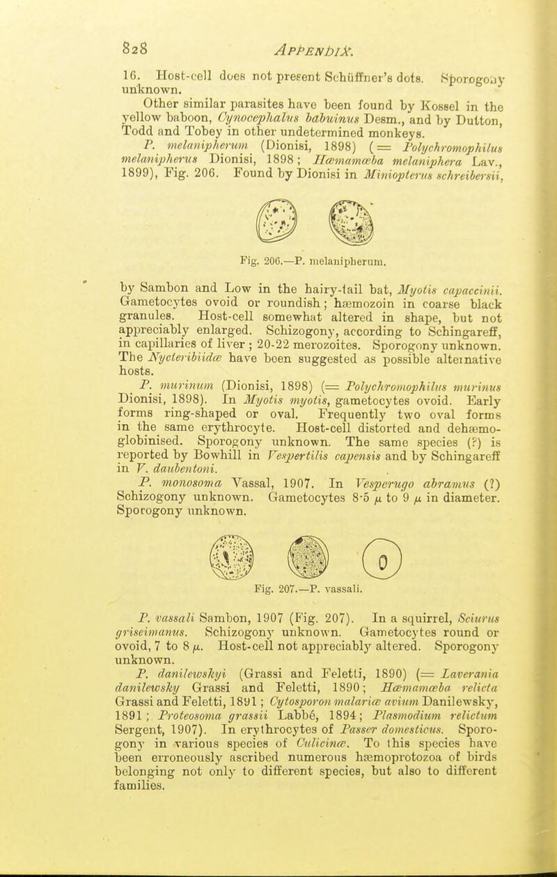 16. Host-tell does not present Schiiffiiei's dote. Sporogojy unknown. Other similar parasites have been found by Kossel in the yellow baboon, Cynocephaha hahuinm Desm., and by Button, Todd and Tobey in other undetermined monkeys. P. melanipherum (Dionisi, 1898) (= rolychromophilus melanipherus Dionisi, 1898; Ilcnmammha melaniphera Lav., 1899), Fig. 206. Found by Dionisi in Miniopterm Hchreibersii, Fig. 206.—P. inelauipherum. by Sambon and Low in the hairy-lail bat, Myolis capaccinii. Gametocytes ovoid or roundish; haBmozoin in coarse black granules. Host-cell somewhat altered in shape, but not appreciably enlarged. Schizogony, according to Schingareff, in capillaries of liver ; 20-22 merozoites. Sporogony unknown. The A^'ycieribiidw have been suggested as possible alternative hosts. _ P. murinum (Dionisi, 1898) (=: Polyckromophilus murinus Dionisi, 1898). In Myotis myods, gametocytes ovoid. Early forms ring-shaped or oval. Frequently two oval forms in the same erythrocyte. Host-cell distorted and dehjemo- globinised. Sporogony unknown. The same species (?) is reported by Bowhill in FcajJertUis capensis and by Schingareff in F. dauhentoni. P. vwnosovm Vassal, 1907. In Vesperugo ahramvs (?) Schizogony unknown. Gametocytes 8-5 /u to 9 /it in diameter. Sporogony unknown. Fig. 207.—P. vassali. P. vassali Sambon, 1907 (Fig. 207). In a squirrel, Sciuriis griseimanus. Schizogony unknown. Gametocytes round or ovoid, 7 to 8 /«. Host-cell not appreciably altered. Sporogony unknown. P. dani/ewskyi (Grassi and Feletti, 1890) (= Laverania danilewsky Grassi and Feletti, 1890; Scemamasba relicta Grassi and Feletti, 1891; Cytosporon malaria avium Danilewsky, 1891; Proteosonia yrassii Labb6, 1894; Plasmodium relicttm Sergent, 1907). In erythrocytes of Passer domesticus. Sporo- gony in various species of CuUcince. To this species have been erroneously ascribed numerous hsemoprotozoa of birds belonging not only to different species, but also to different families.