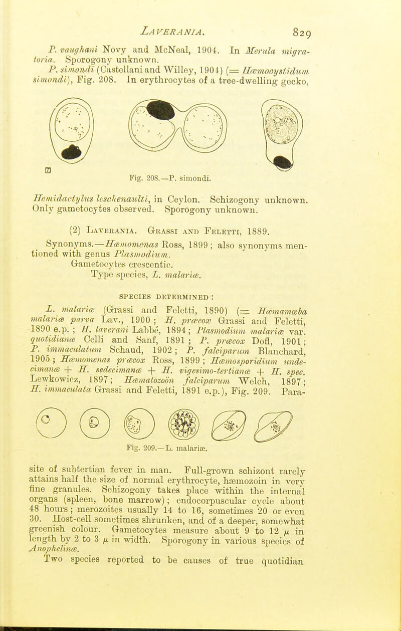 p. vauffhani Novy and McNeal, 1904. In Merula migra- toria. Sporogony unknown. P. simondi (Castellani and Willey, 1901) (= Raimooystidum. simondi). Fig. 208. In erythrocytes of a tree-dwelling gecko, Fig. 208.—P. simondi. Hfimidactylus leschenaulti, in Ceylon. Schizogony unknown. Only gametocytes observed. Sporogony unknown. (2) Laverania. G-uassi and Feletti, 1889. Synonyms.—i/<swo»tmrts Ross, 1899; also .synonyms men- tioned with genus Plasiiiodhim. Gametocytes crescentio. T_y[3e species, L. malaria. SPECIES DETERMINED : Z. malarice (Grassi and Feletti, 1890) {=. Hcemamoeba malaria parva Lav., 1900 ; E. prcBcox Grassi and Feletti, 1890 e.p. ; H. laverani Labhe, 1894; Plasmodium malaria var. guoiidiana Celli and Sanf, 1891 ; P. pracox Dofl, 1901 ; P. immacidatum Schaud, 1902; P. falciparum Blanchard, 1905 ; Hamomenas pracox Eoss, 1899; Hamosporidium unde- eimana -f S. sedecimanm PL. vigesimo-tertianw + H, spec. Lewkowicz, 1897; ffamatozoon falciparum Welch, 1897- H. immaculata Grassi and Feletti, 1891 e.p.), Fig. 209. Para- Fig. 209.—L. malarise. site of suhtertian fever in man. Full-grown schizont rarely a,ttains half the size of normal erythrocyte, hasmozoin in very fine granules. Schizogony takes place within the internal organs (spleen, bone marrow); endocorpuscular cycle about 48 hours ; merozoites usually 14 to 16, sometimes 20 or even 30. Host-cell sometimes shrunken, and of a deeper, somewhat greenish colour. Gametocytes measure about 9 to 12 ^ in length by 2 to 3 /i in width. Sporogony in various species of Anophelina. Two species reported to be causes of true quotidian