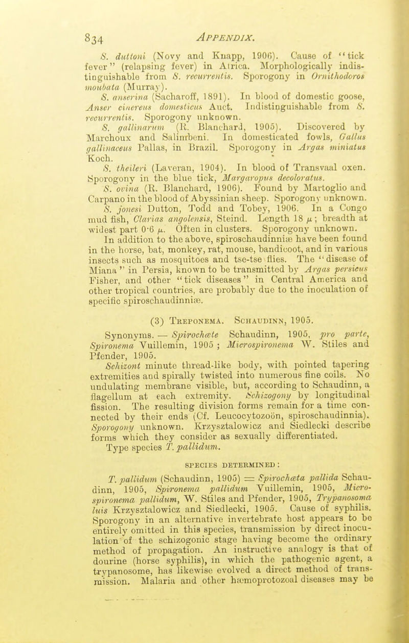 a. dultoni (Novj' and Kuapp, 1900). Cause of tick fever (relapsing fever) in Airica. Morphologically indis- tinguishable from <S'. recurrentis. Sporogony in Ornithodoro^ moiibata (Murray). S. anserina (SacharofC, 1891). In blood of domestic goose, Anscr ci/iereiis domestictts Auct. Indistinguishable from 8. recurrentis. Sporogony unknown. S. gallinarum [11. BlancharJ, 1905). Discovered by Marchoux and Salimbeni. In domesticated fowls, Galtus galUnaceus Pallas, in Brazil. Sporogony in Argan miniatus E:och. S. theileri (Lavoran, 1904). In blood of Transvaal oxen. Sporogony in the blue tick, Margaropim decoloratus. S. ovina (R. Blanchard, 1906). Found by Marloglio and Carpano in the blood of Abyssinian sheep. Sporogony unknown. S. jonesi Dutton, Todd and Tobey, 1906. In a Congo mud fish, Clarias angolensis, Steind. Length 18 ;u; breadth at widest part 0-6 fx. Oftea in clusters. Sporogony unknown. In addition to the above, spiroschaudinnia3 have been found in the horse, bat, monkey, rat, mouse, bandicoot, and in various insects such as mosquitoes and tse-tse flies. The disease of Miana  in Persia, known to be transmitted by Argas persieus Fisher, and other tick diseases in Central America and other tropical countries, are probably due to the inoculation of specific spiroschaudinnife. (3) Tkeponema. Schaudinn, 1905. Synonyms. — Sjnrochcete Schaudinn, 1905, ^jro parte, Spironema Vuillemin, 1905 ; Microspironema W. Stiles and Pfender, 1905. Schizont minute thread-like body, with pointed tapering extremities and spirally twisted into numerous fine coils. No undulating membrane visible, but, according to Schaudinn, a flagellum at each extremity. iScJiizogong by longitudinal fission. The resulting division forms remain for a time con- nected by their ends (Cf. Leucocytozoon, spiroschaudinnia). Sporogony unknown. Krzysztalowicz and Siedlecki describe forms which they consider as sexually differentiated. Type species T. pallidum. SPECIES DETERMINED : T. pallidum (Schaudinn, 1905) = Spirochocta pallida Schau- dinn, 1905, Spironema pallidum Vuillemin, 1905, Mici-o- .spironema pallidum, W. Stiles and Pfender, 1905, Trypanosoma Ms Krzysztalowicz and Siedlecki, 1905. Cause of syphilis. Sporogony in an alternative invertebrate host appears to be entirely omitted in this species, transmission by direct inocu- lation'of the schizogonic stage having become the ordinary method of propagation. An instructive analogy is that of dourine (horse syphilis), in which the pathogenic agent, a trypanosome, has likewise evolved a direct method of trans- mission. Malaria and other htumoprotozoal diseases may be