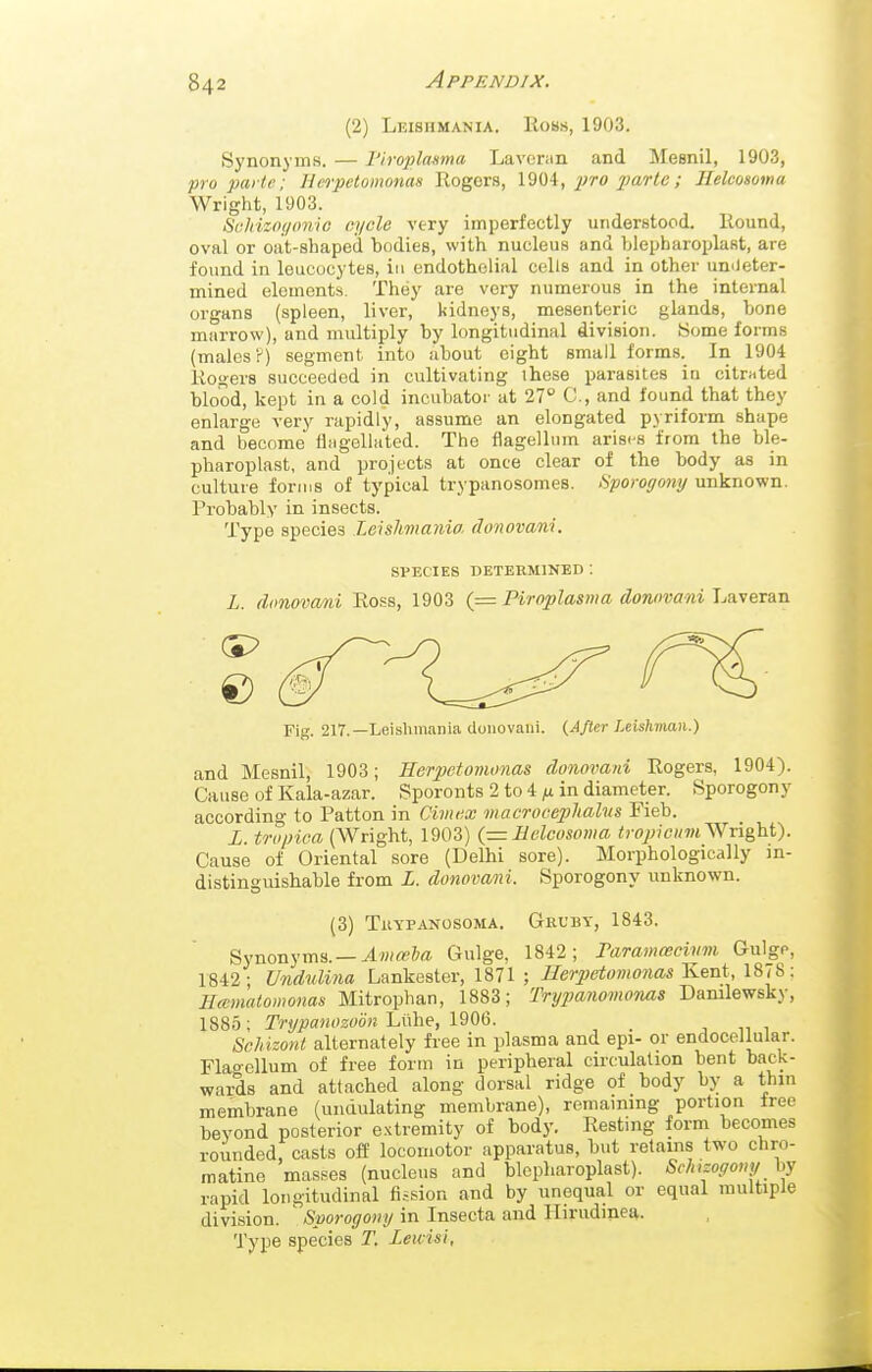 (2) Lkisiimania. Rows, 1903. Synonyms. — Tiroplasma Laverim and Mesnil, 1903, pro parte; Hcrpetomonas Rogers, 190i, jjro par; Helcosoma Wright, 1903. SaJrizot/onio eijcle very imperfectly understood. Round, oval or oat-shaped bodies, with nucleus and hlepbaroplast, are found in leucocytes, in endothelial cells and in other unileter- mined elements. They are very numerous in the internal organs (spleen, liver, kidneys, mesenteric glands, bone marrow), and multiply by longitudinal division. Some forms (males?) segment into about eight small forms. In 1904 Rogers succeeded in cultivating ihese parasites in citriited blood, kept in a cold incubator at 27° 0., and found that they enlarge very rapidly, assume an elongated pyriform shape and become fliigellated. The flagellum arises from the ble- pharoplast, and projects at once clear of the body as in culture forms of typical trypanosomes. Sporogony unknown. Probably in insects. Type species Zeishmania donovani. SPECIES DETERMINED : L. donovani Ross, 1903 (= Piroplasnia donovani Laveran Fig. 217.—Leislimania donovani. (After Leishman.) and Mesnil, 1903; Herpetomonas donovani Rogers, 1904). Cause of Kala-azar. Sporonts 2 to 4 ^ in diameter. Sporogony according to Fatten in Cimux macrocephalm Fieb. L. tropica (Wright, 1903) {■= Helcosoma tropiciimWright). Cause of Oriental sore (Delhi sore). Morphologically in- distinguishable from L. donovani. Sporogony unknown. (3) TuYPANOsoMA. Geuby, 1843. Synonyms. —Amceba Gulge, 1842; Faramascivm Gulge, 1842- Undulina Lankester, 1871 ; Herpetomonas Kent, 1878; Hwmalomonas Mitrophan, 1883; Trypaiiomonas Danilewsky, 1885 ; Trypanozoon Liihe, 1906. ScMzont alternately free in plasma and epi- or endocellular. Flagellum of free form in peripheral cii'culation bent back- wards and attached along dorsal ridge of body by a thin membrane (undulating membrane), remaining portion free beyond posterior extremity of body. Resting form becomes rounded, casts ofl locomotor apparatus, but retains two chro- matine masses (nucleus and blepharoplast). Scht-ogomi hy rapid longitudinal fission and by unequal or equal multiple division. Sporogony in Insecta and Hirudine^. Type species T. Zewisi,