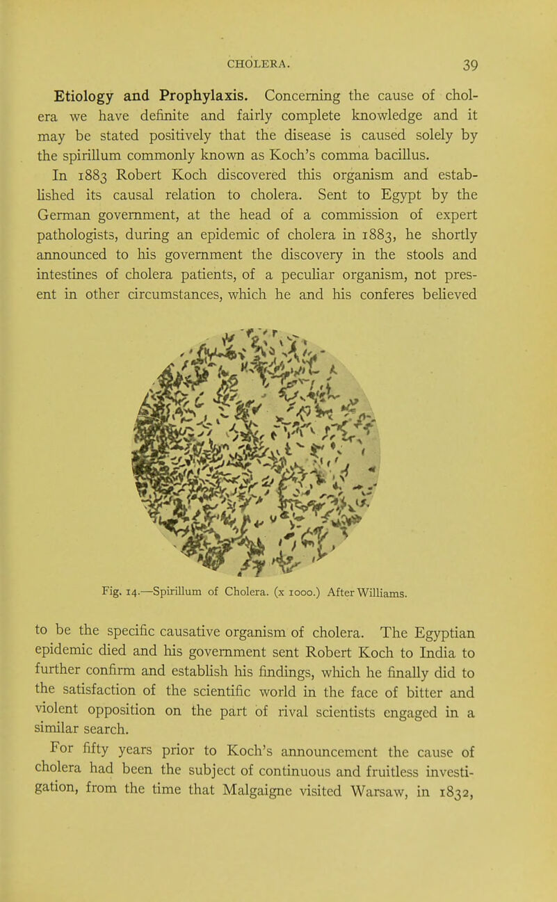 Etiology and Prophylaxis. Concerning the cause of chol- era we have definite and fairly complete knowledge and it may be stated positively that the disease is caused solely by the spirillum commonly known as Koch's comma bacillus. In 1883 Robert Koch discovered this organism and estab- lished its causal relation to cholera. Sent to Egypt by the German government, at the head of a commission of expert pathologists, during an epidemic of cholera in 1883, he shortly announced to his government the discovery in the stools and intestines of cholera patients, of a peculiar organism, not pres- ent in other circumstances, which he and his conferes believed to be the specific causative organism of cholera. The Egyptian epidemic died and his government sent Robert Koch to India to further confirm and establish his findings, which he finally did to the satisfaction of the scientific world in the face of bitter and violent opposition on the part of rival scientists engaged in a similar search. For fifty years prior to Koch's announcement the cause of cholera had been the subject of continuous and fruitless investi- gation, from the time that Malgaigne visited Warsaw, in 1832,