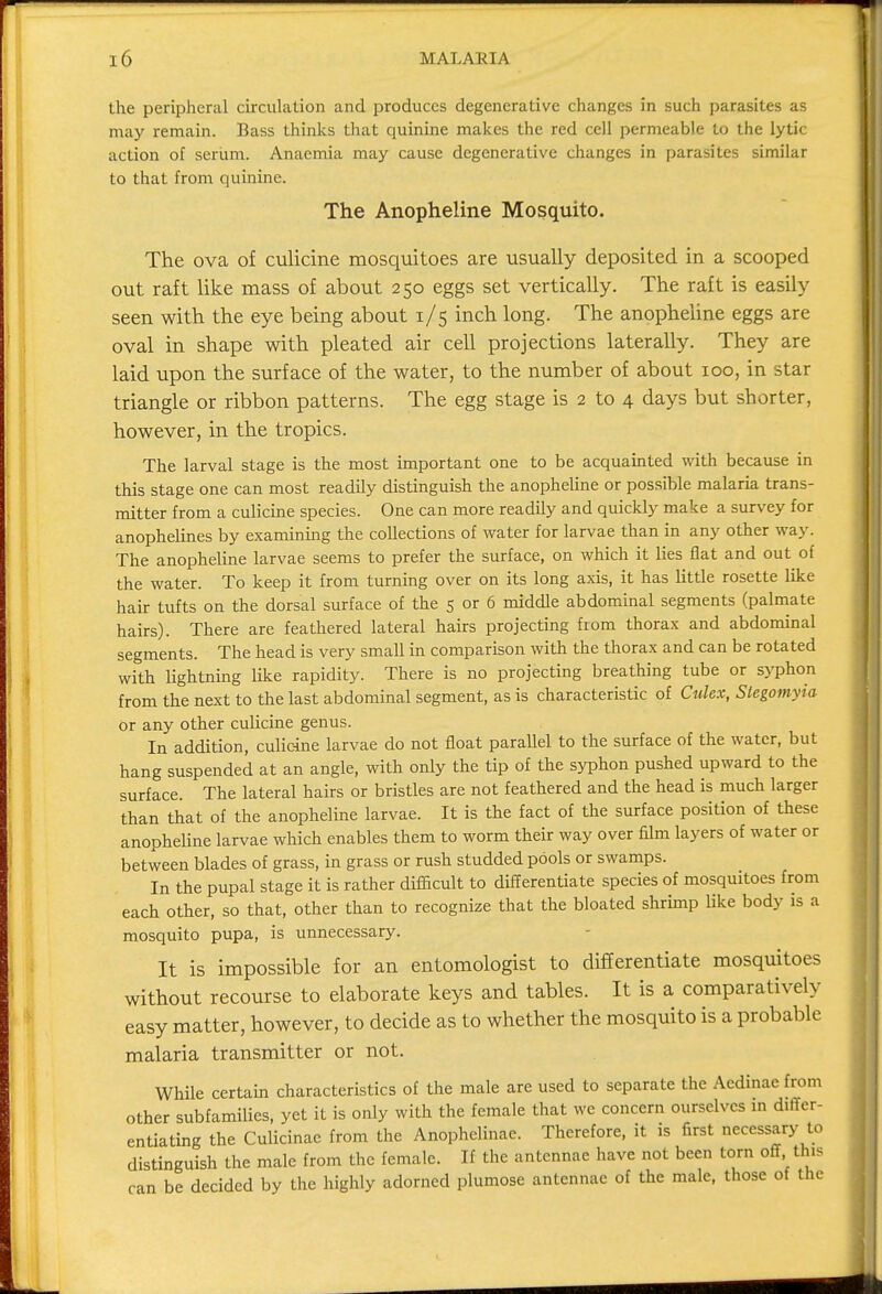 the peripheral circulation and produces degenerative changes in such parasites as may remain. Bass thinks that quinine makes the red cell permeable to the lytic action of serum. Anaemia may cause degenerative changes in parasites similar to that from quinine. The Anopheline Mosquito. The ova of culicine mosquitoes are usually deposited in a scooped out raft like mass of about 250 eggs set vertically. The raft is easily seen with the eye being about 1/5 inch long. The anopheline eggs are oval in shape with pleated air cell projections laterally. They are laid upon the surface of the water, to the number of about 100, in star triangle or ribbon patterns. The egg stage is 2 to 4 days but shorter, however, in the tropics. The larval stage is the most important one to be acquainted with because in this stage one can most readily distinguish the anopheline or possible malaria trans- mitter from a culicine species. One can more readily and quickly make a survey for anophelines by examining the collections of water for larvae than in any other way. The anopheline larvae seems to prefer the surface, on which it lies flat and out of the water. To keep it from turning over on its long axis, it has little rosette like hair tufts on the dorsal surface of the 5 or 6 middle abdominal segments (palmate hairs). There are feathered lateral hairs projecting from thorax and abdominal segments. The head is very small in comparison with the thorax and can be rotated with lightning like rapidity. There is no projecting breathing tube or syphon from the next to the last abdominal segment, as is characteristic of Culex, Slegomyia or any other culicine genus. In addition, culicine larvae do not float parallel to the surface of the water, but hang suspended at an angle, with only the tip of the syphon pushed upward to the surface. The lateral hairs or bristles are not feathered and the head is much larger than that of the anopheline larvae. It is the fact of the surface position of these anopheline larvae which enables them to worm their way over film layers of water or between blades of grass, in grass or rush studded pools or swamps. In the pupal stage it is rather difficult to differentiate species of mosquitoes from each other, so that, other than to recognize that the bloated shrimp like body is a mosquito pupa, is unnecessary. It is impossible for an entomologist to differentiate mosquitoes without recourse to elaborate keys and tables. It is a comparatively easy matter, however, to decide as to whether the mosquito is a probable malaria transmitter or not. While certain characteristics of the male are used to separate the Acdinae from other subfamilies, yet it is only with the female that we concern ourselves in differ entiating the Culicinae from the Anophelinae. Therefore, it is first necessary to distinguish the male from the female. If the antennae have not been torn off tins can be decided by the highly adorned plumose antennae of the male, those of the
