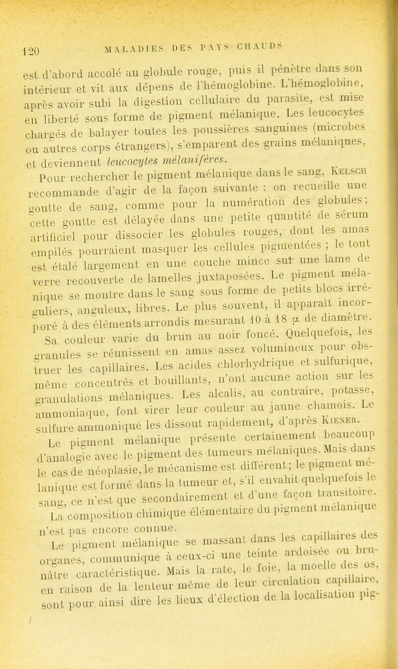 esL d'abord accolé au globule rouge, puis il pénètre dans son intérieur et vit aux dépens de l'hémoglobine. L'hémoglobme, après avoir subi la digestion cellulaire du parasite, est mise en liberté sous forme de pigment mélanique. Les leucocytes chargés de balayer toutes les poussières sanguines (microbes ou autres corps étrangers), s'emparent des grams mélaniqmes, et deviennent leucocytes mélanifères. Pour rechercher le pigment mélanique dans le sang, Kelsch recommande d'agir de la façon suivante : on recueille une ..outte de sang, comme pour la numération des globules; cette goutte est délayée dans une petite quantité de sérum artiiicicl pour dissocier les globules rouges, dont les amas empilés pourraient masquer les cellules pigmentées ; le tout est étalé largement en une couche mince sut une lame de verre recouverte de lamelles juxtaposées. Le pigment méla- nique se montre dans le sang sous forme de petits blocs irre- guliers, anguleux, libres. Le plus souvent, il apparaît incor- lové à des éléments arrondis mesurant 10 à 18 de diamètre. Sa couleur varie du brun au noir foncé. Quelquefois, es .ranules se réunissent en amas assez volumineux pour obs- truer les capillaires. Les acides chlorhydrique et sulfurique, même concentrés et bouillants, n'ont aucune action sur les granulations mélaniques. Les alcalis, au contraire, potasse, ammoniaque, font virer leur couleur au jaune chamois. Le sulfure amraoïaique les dissout rapidement, d'après Kh^ner. ^ Le pigment mélanique présente certainement beaucoup d'analogîe avec le pigment des tumeurs mélaniques. Mais dans e cas de néoplasie,le mécanisme est différent; le p.gment m - anique est formé dans la tumeur et, s'il envahit quelquefois le sa ce n'est que secondairement et d'une façon transitoire. U'cmn^-osition chimique élémentaire du pigment mélanique n'est pas encore connue. . le pigment mélanique se massant dans les capdUure. d . organ s, communique à ceux-ci une teinte ardoisée ou biu- caractéristique. Mais la rate, le foie, la moelle d s o , e raison de la lenteur même de leur circulation capiUaue, n pou ainsi dire les lieux d'élection de la localisation p.g-