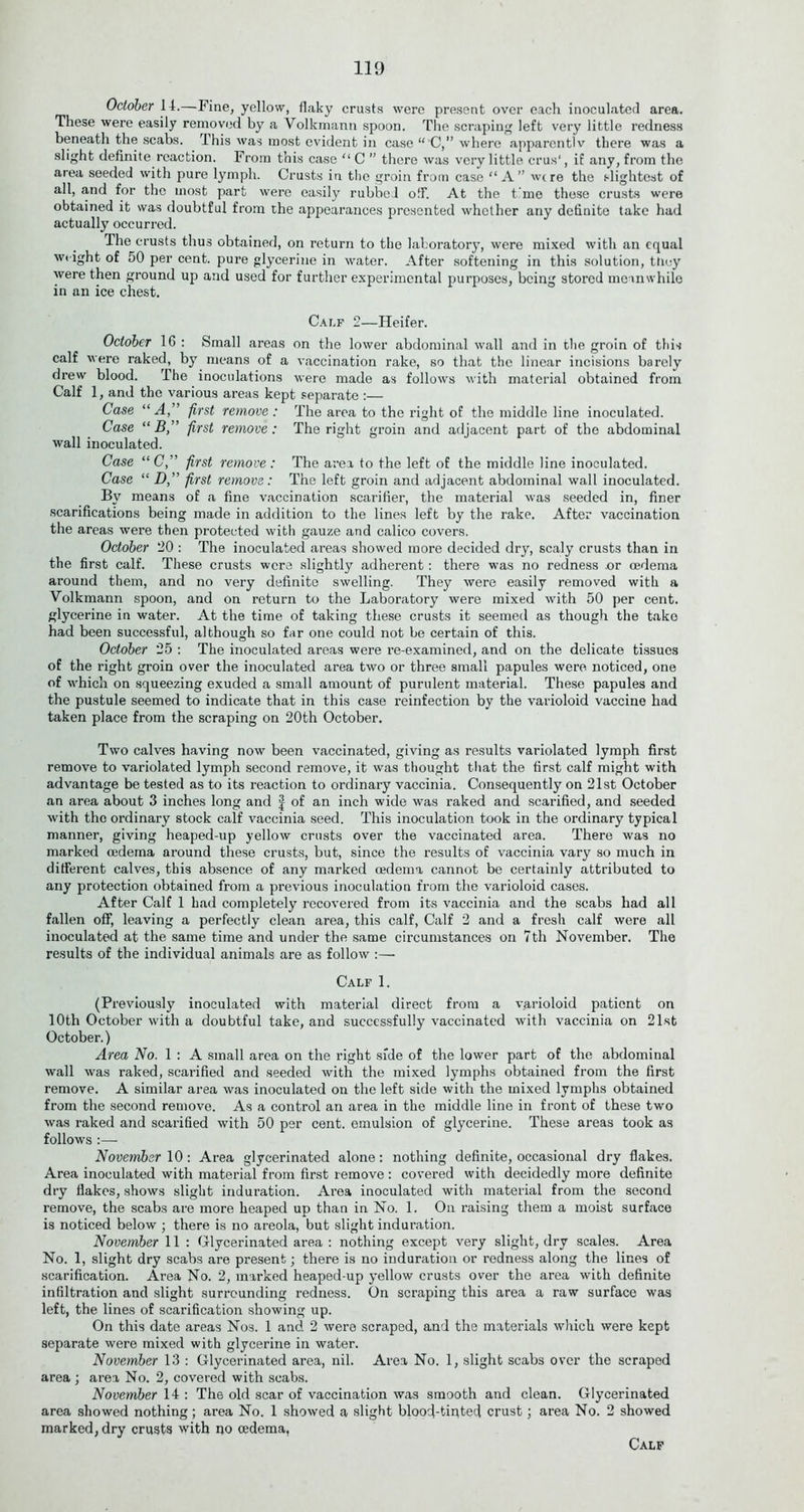 October 14.—Fine, yellow, flaky crusts were present over each inoculated area. These were easily removed by a Volkmann spoon. The scraping left very little redness beneath the scabs. This was most evident in case “ C,” where apparentlv there was a slight definite reaction. From this case “ C ” there was very little crus', if any, from the area seeded with pure lymph. Crusts in the groin from case “A” were the slightest of all, and for the most part were easily rubbe l off. At the t me these crusts were obtained it was doubtful from the appearances presented whether any definite take had actually occurred. The crusts thus obtained, on return to the laboratory, were mixed with an equal weight of 50 per cent, pure glycerine in water. After softening in this solution, they were then ground up and used for further experimental purposes, being stored meanwhile in an ice chest. Calf 2—Heifer. October 16 : Small areas on the lower abdominal wall and in the groin of this calf were raked, by means of a vaccination rake, so that the linear incisions barely drew blood. The inoculations were made as follows with material obtained from Calf 1, and the various areas kept separate :— Case “ A,” first remove : The area to the right of the middle line inoculated. Case “ B,” first remove: The right groin and adjacent part of the abdominal wall inoculated. Case “C,” first remove: The area to the left of the middle line inoculated. Case “ D,” first remove: The left groin and adjacent abdominal wall inoculated. By means of a fine vaccination scarifier, the material was seeded in, finer scarifications being made in addition to the lines left by the rake. After vaccination the areas were then protected with gauze and calico covers. October 20 : The inoculated areas showed more decided dry, scaly crusts than in the first calf. These crusts were slightly adherent: there was no redness .or oedema around them, and no very definite swelling. They were easily removed with a Volkmann spoon, and on return to the Laboratory were mixed with 50 per cent, glycerine in water. At the time of taking these crusts it seemed as though the tako had been successful, although so far one could not be certain of this. October 25 : The inoculated areas were re-examined, and on the delicate tissues of the right groin over the inoculated area two or three small papules were noticed, one of which on squeezing exuded a small amount of purulent material. These papules and the pustule seemed to indicate that in this case reinfection by the varioloid vaccine had taken place from the scraping on 20th October. Two calves having now been vaccinated, giving as results variolated lymph first remove to variolated lymph second remove, it was thought that the first calf might with advantage be tested as to its reaction to ordinary vaccinia. Consequently on 21st October an area about 3 inches long and | of an inch wide was raked and scarified, and seeded with the ordinary stock calf vaccinia seed. This inoculation took in the ordinary typical manner, giving heaped-up yellow crusts over the vaccinated area. There was no marked oedema around these crusts, but, since the results of vaccinia vary so much in different calves, this absence of any marked oedema cannot be certainly attributed to any protection obtained from a previous inoculation from the varioloid cases. After Calf 1 had completely recovered from its vaccinia and the scabs had all fallen off, leaving a perfectly clean area, this calf, Calf 2 and a fresh calf were all inoculated at the same time and under the same circumstances on 7th November. The results of the individual animals are as follow :— Calf 1. (Previously inoculated with material direct from a varioloid patient on 10th October with a doubtful take, and successfully vaccinated with vaccinia on 21st October.) Area No. 1 : A small area on the right side of the lower part of the abdominal wall was raked, scarified and seeded with the mixed lymphs obtained from the first remove. A similar area was inoculated on the left side with the mixed lymphs obtained from the second remove. As a control an area in the middle line in front of these two was raked and scarified with 50 per cent, emulsion of glycerine. These areas took as follows :— November 10: Area glycerinated alone: nothing definite, occasional dry flakes. Area inoculated with material from first remove : covered with decidedly more definite dry flakes, shows slight induration. Area inoculated with material from the second remove, the scabs are more heaped up than in No. 1. On raising them a moist surface is noticed below ; there is no areola, but slight induration. November 11 : Glycerinated area : nothing except very slight, dry scales. Area No. 1, slight dry scabs are present; there is no induration or redness along the lines of scarification. Area No. 2, marked heaped-up yellow crusts over the area with definite infiltration and slight surrounding redness. On scraping this area a raw surface was left, the lines of scarification showing up. On this date areas Nos. 1 and 2 were scraped, and the materials which were kept separate were mixed with glycerine in water. November 13 : Glycerinated area, nil. Area No. 1, slight scabs over the scraped area ; area No. 2, covered with scabs. November 14 : The old scar of vaccination was smooth and clean. Glycerinated area showed nothing; area No. 1 showed a slight blood-tinted crust; area No. 2 showed marked, dry crusts with no oedema. Calf